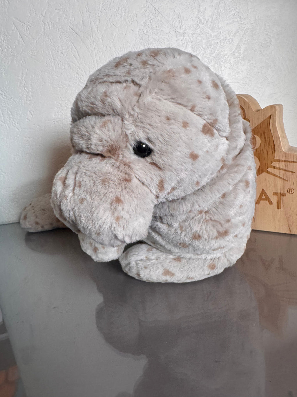 Magnus Manatee