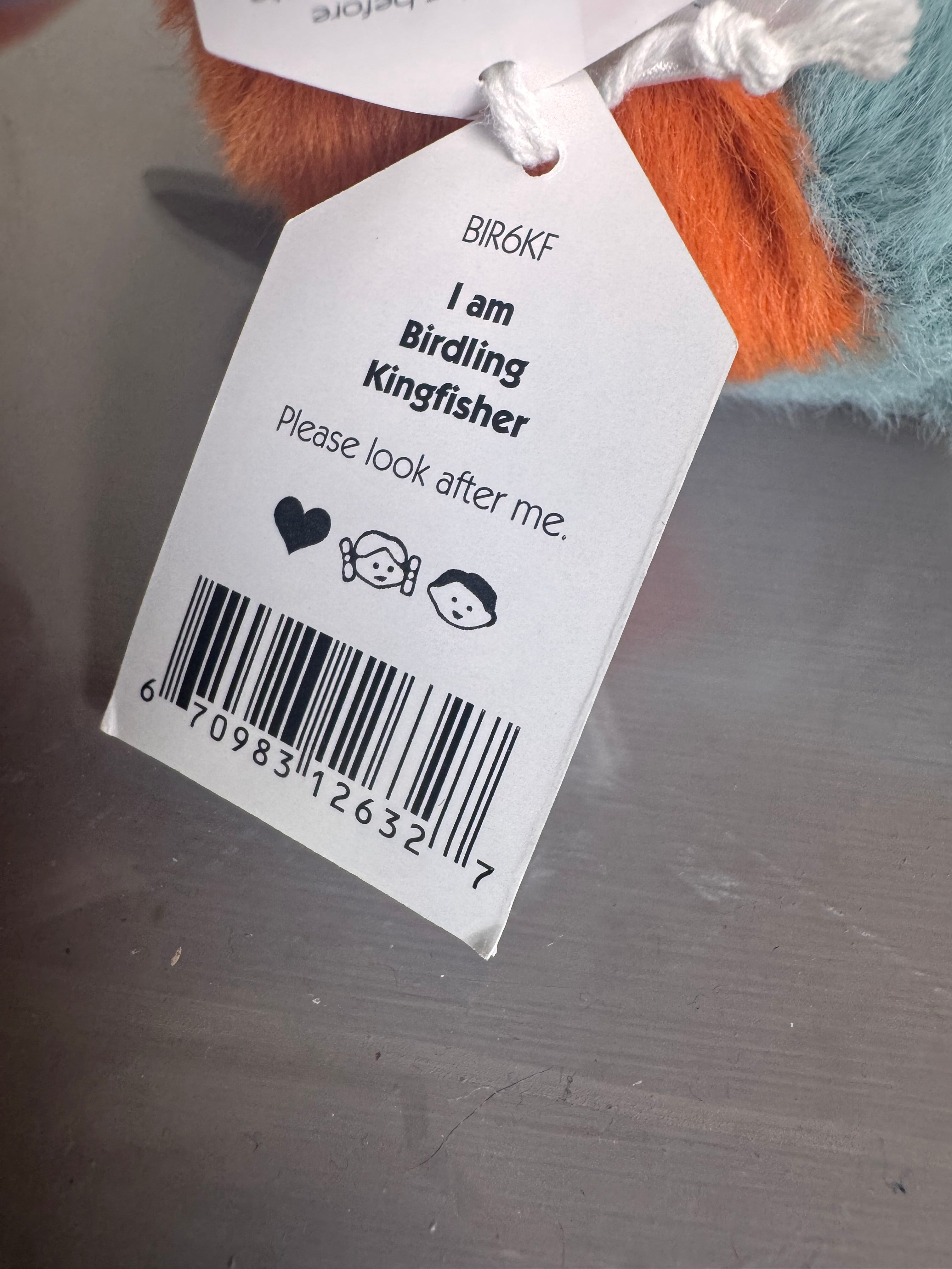 Birdling Kingfisher