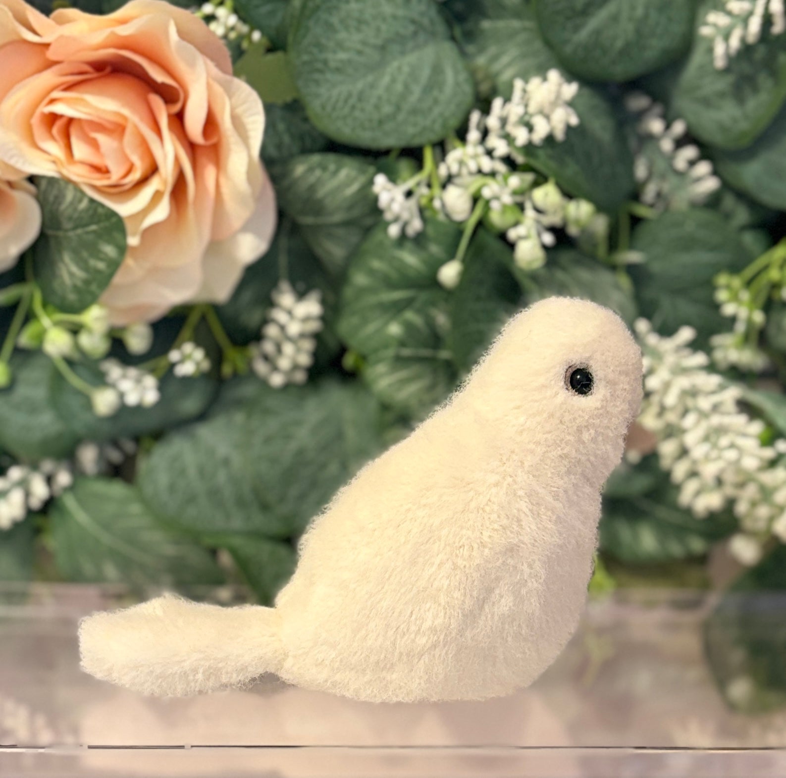 Birdling Dove