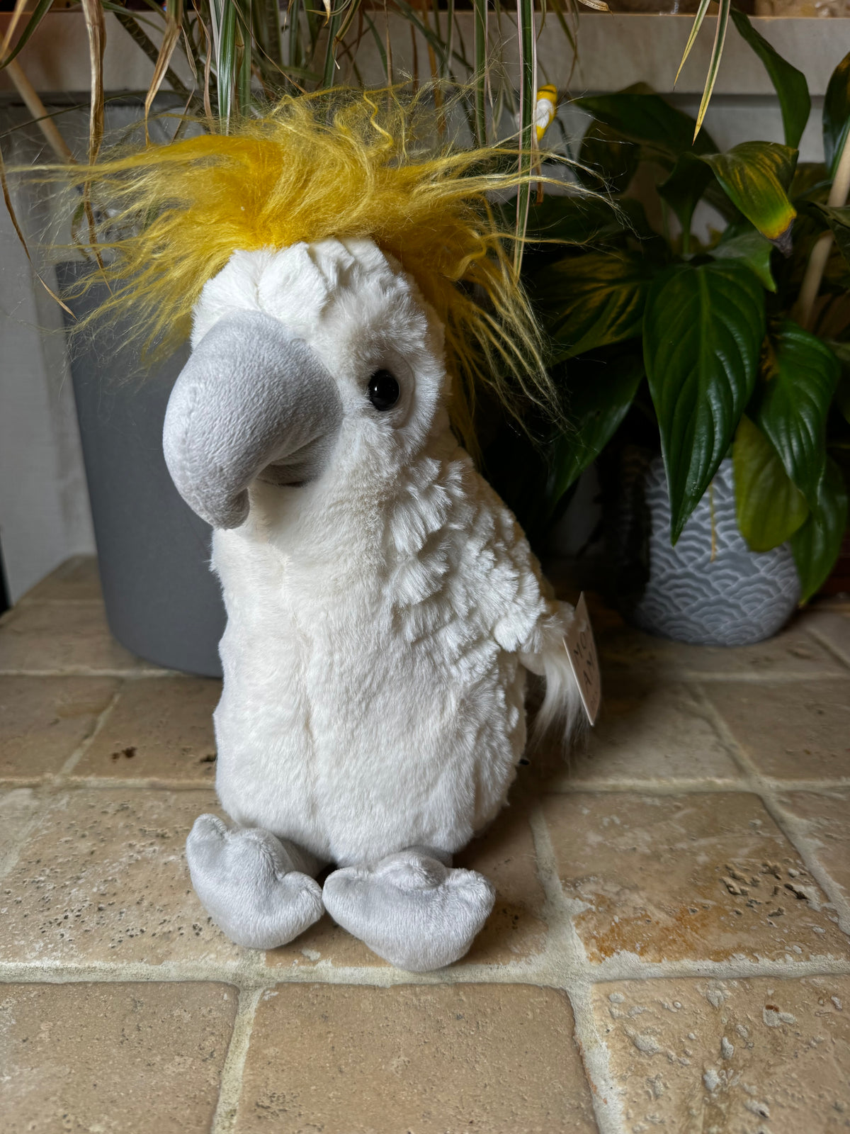Mon Ami | Tallulah Cockatoo