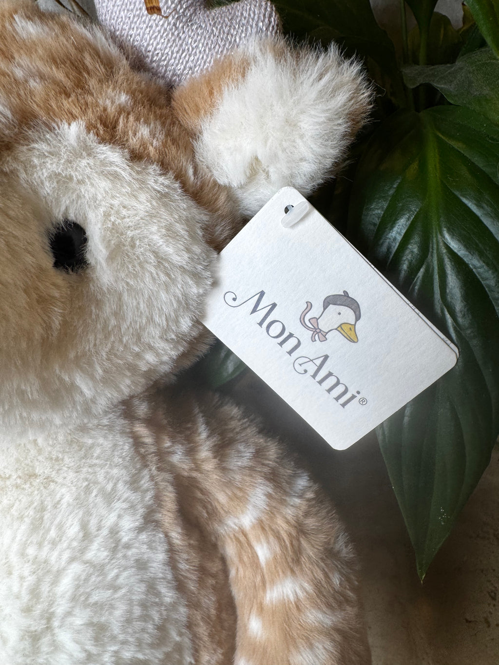 Mon Ami | Fiona Fawn