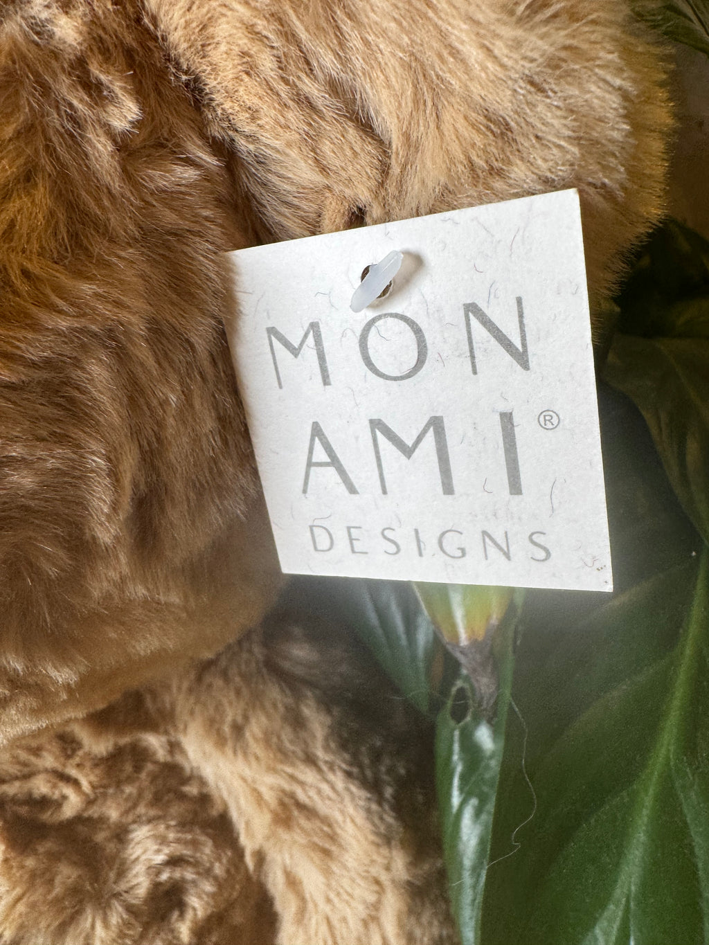 Mon Ami | Huggie Bear | Large