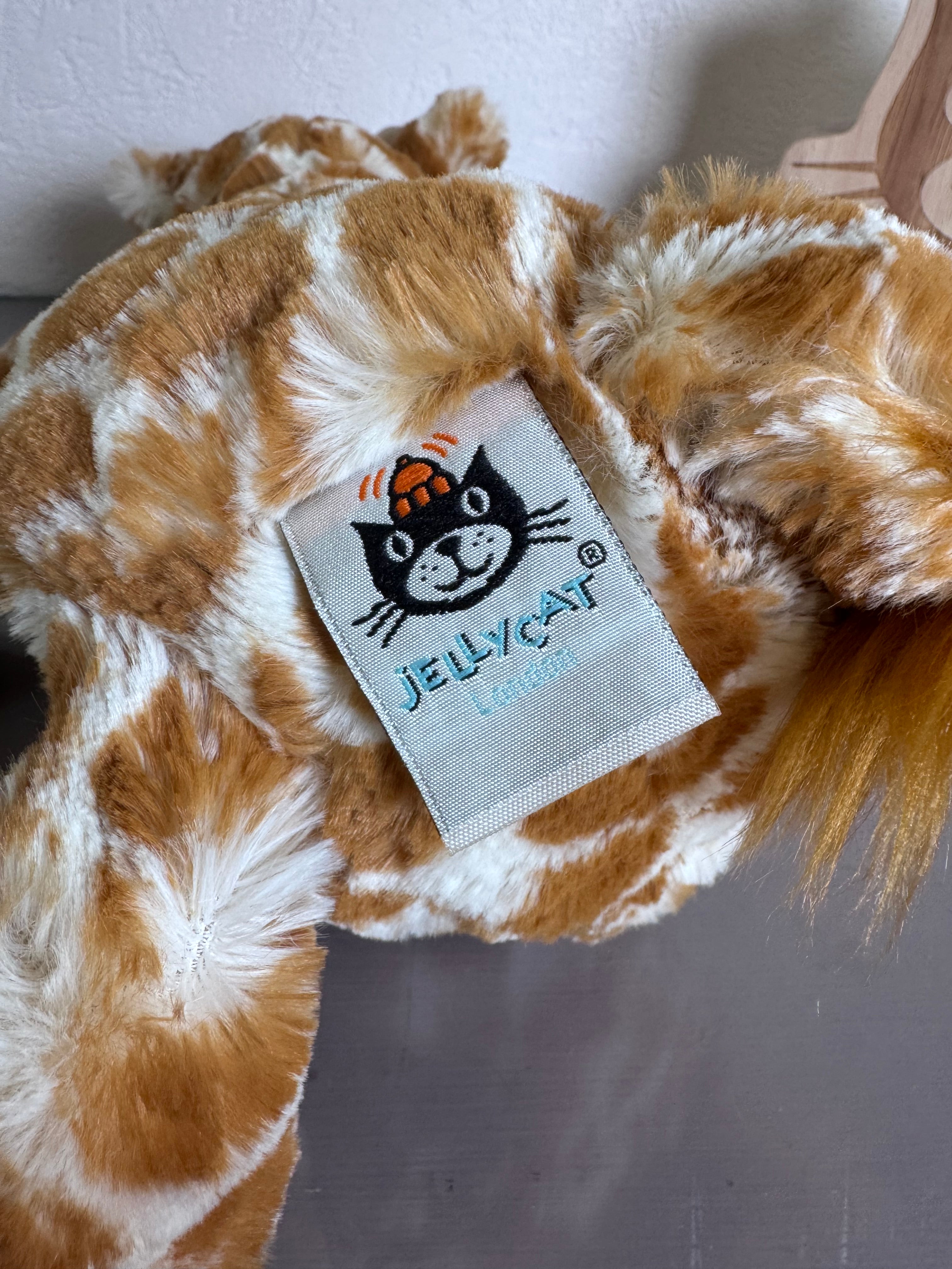 Medium Bashful Giraffe