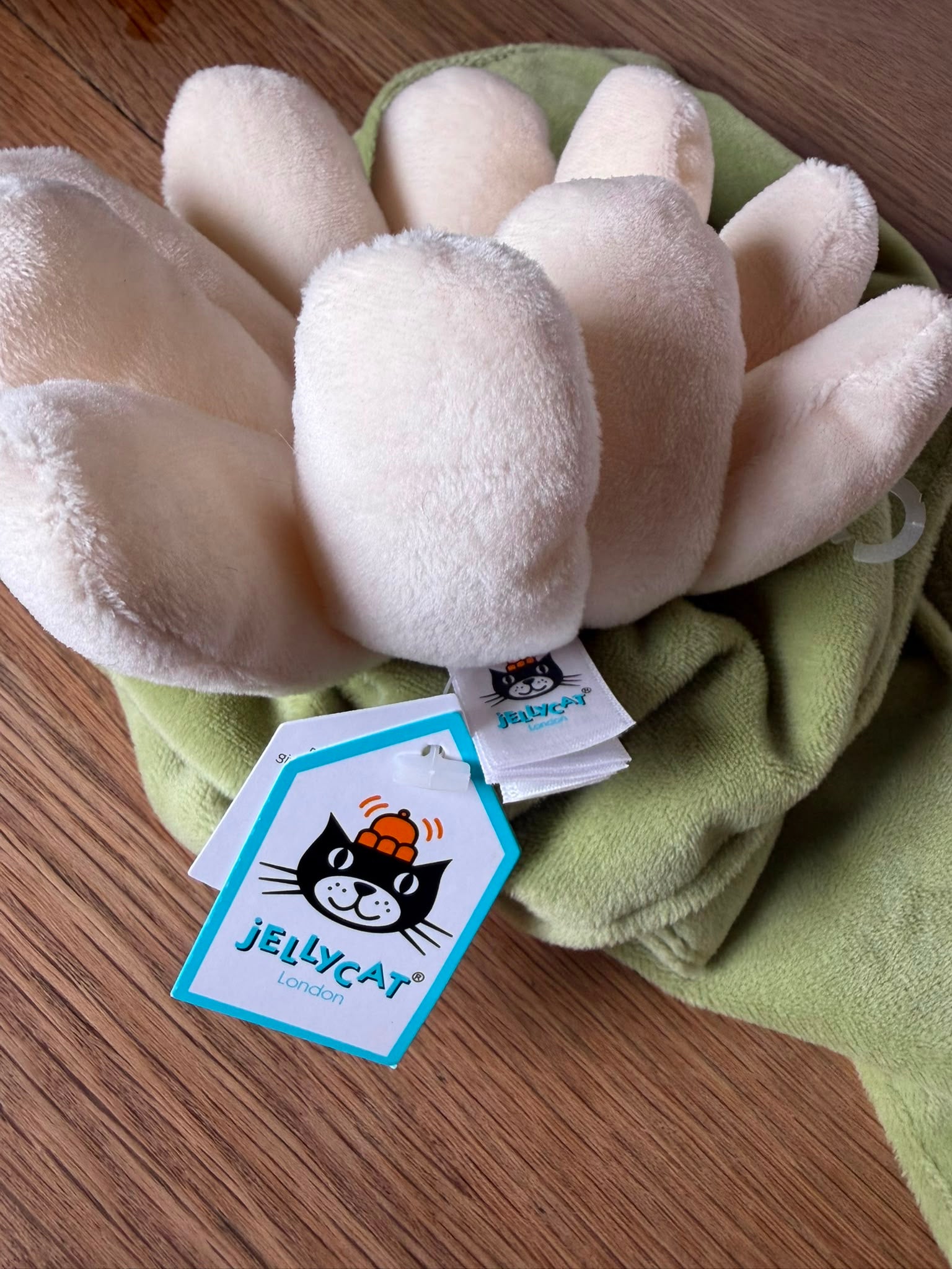 Jellycat Fleury Daisy Soother