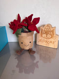 Amuseable Poinsettia