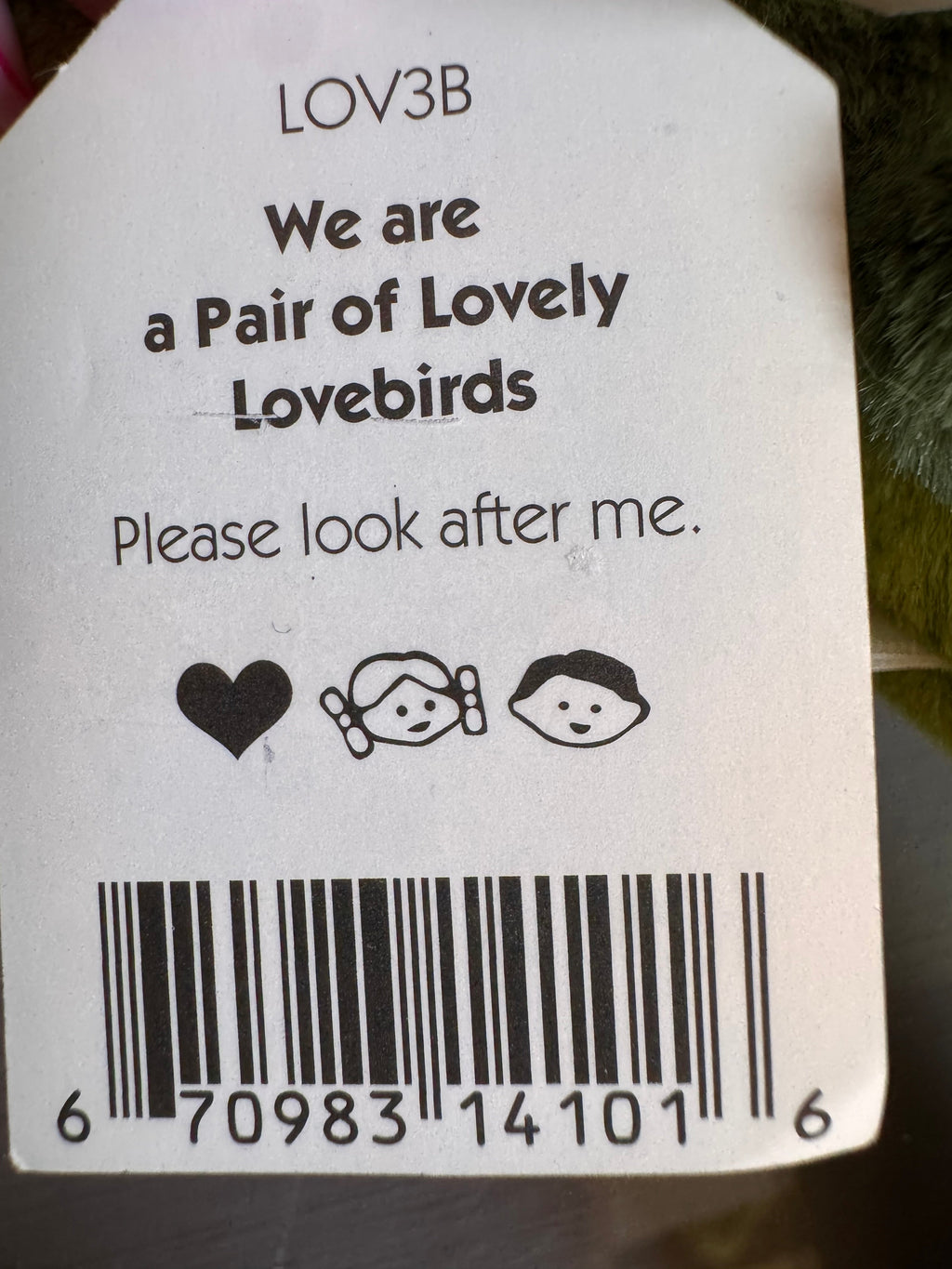 Pair of Lovely Lovebirds