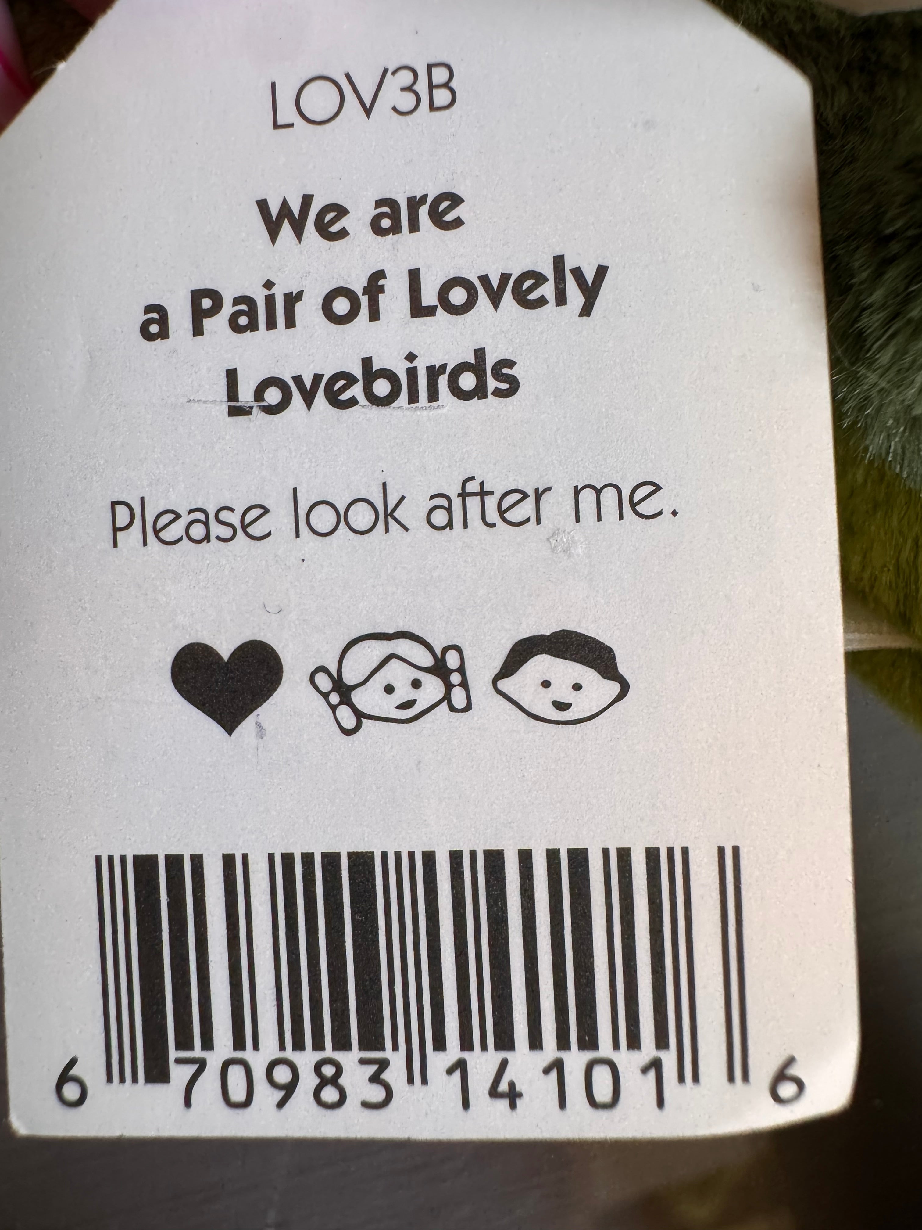 Pair of Lovely Lovebirds