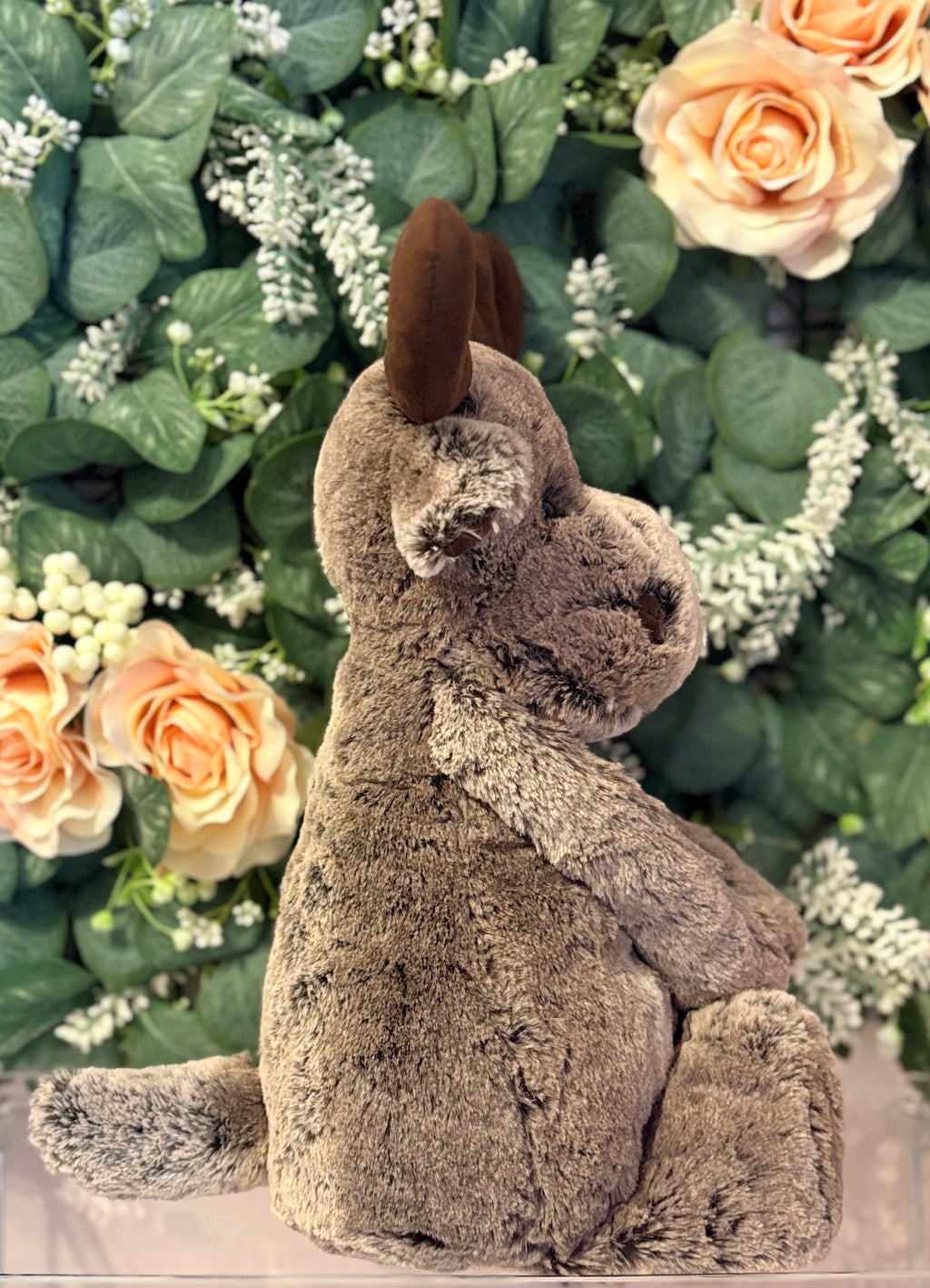 Bashful Marty Moose