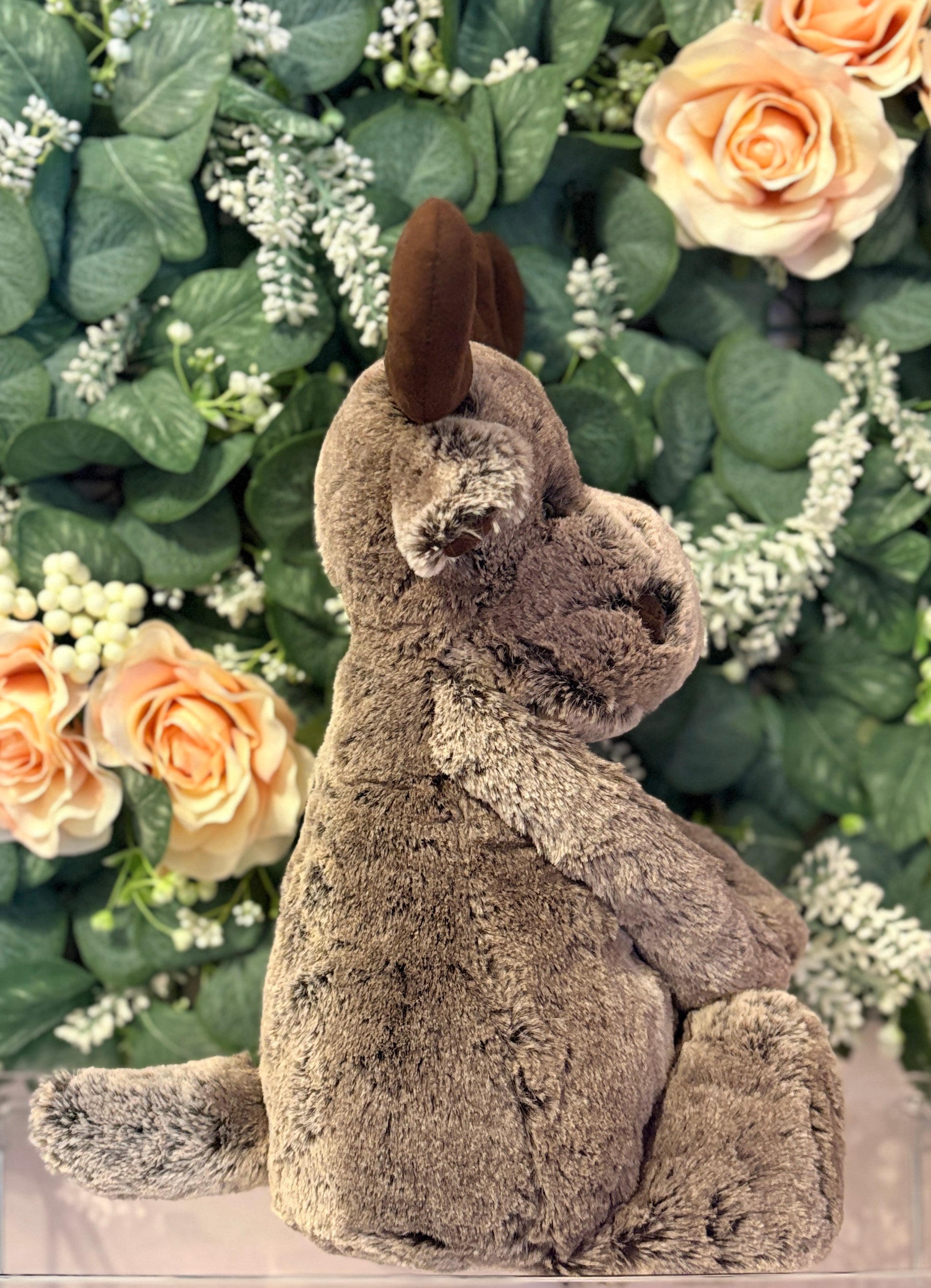 Bashful Marty Moose