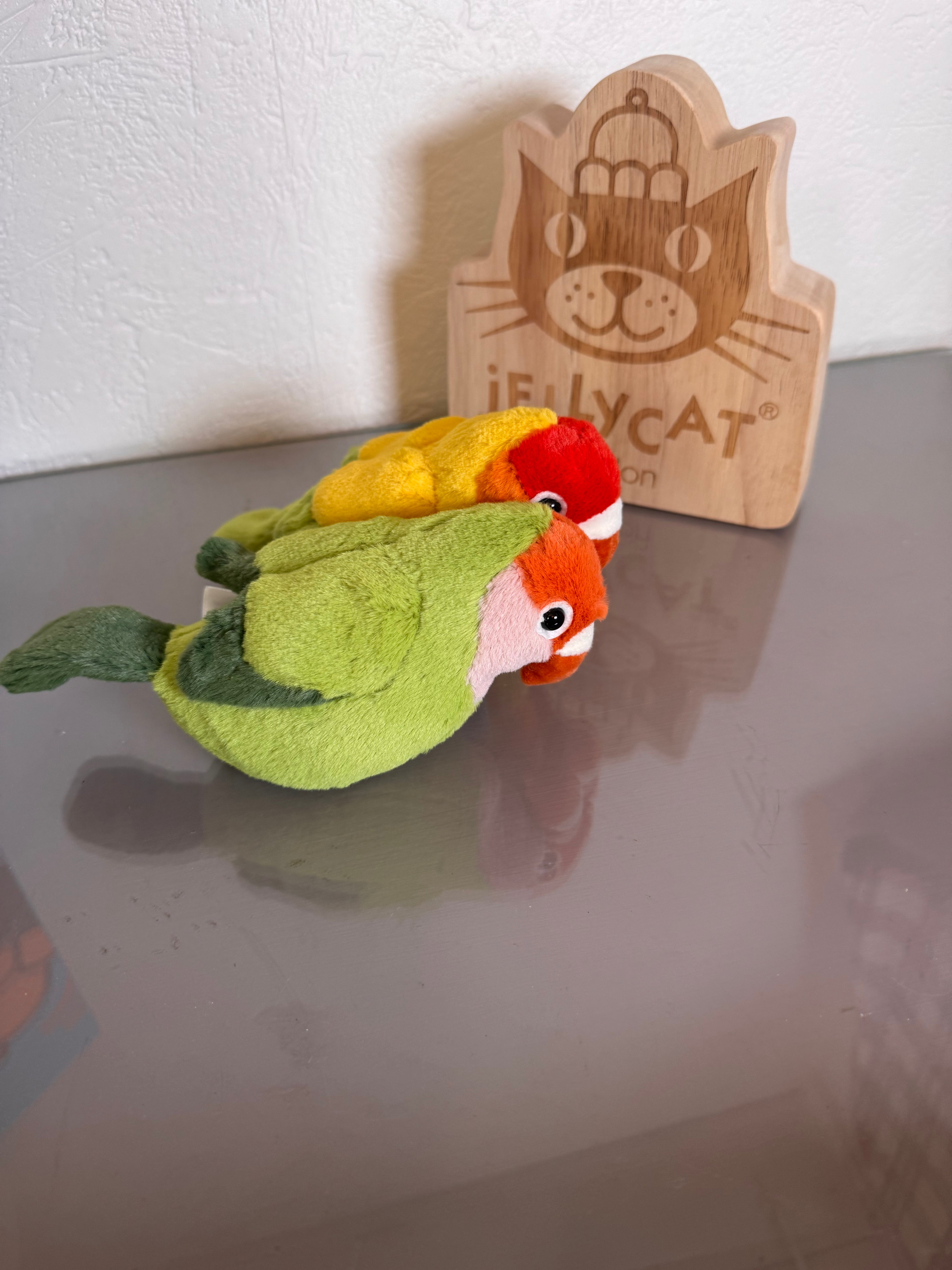 Pair of Lovely Lovebirds