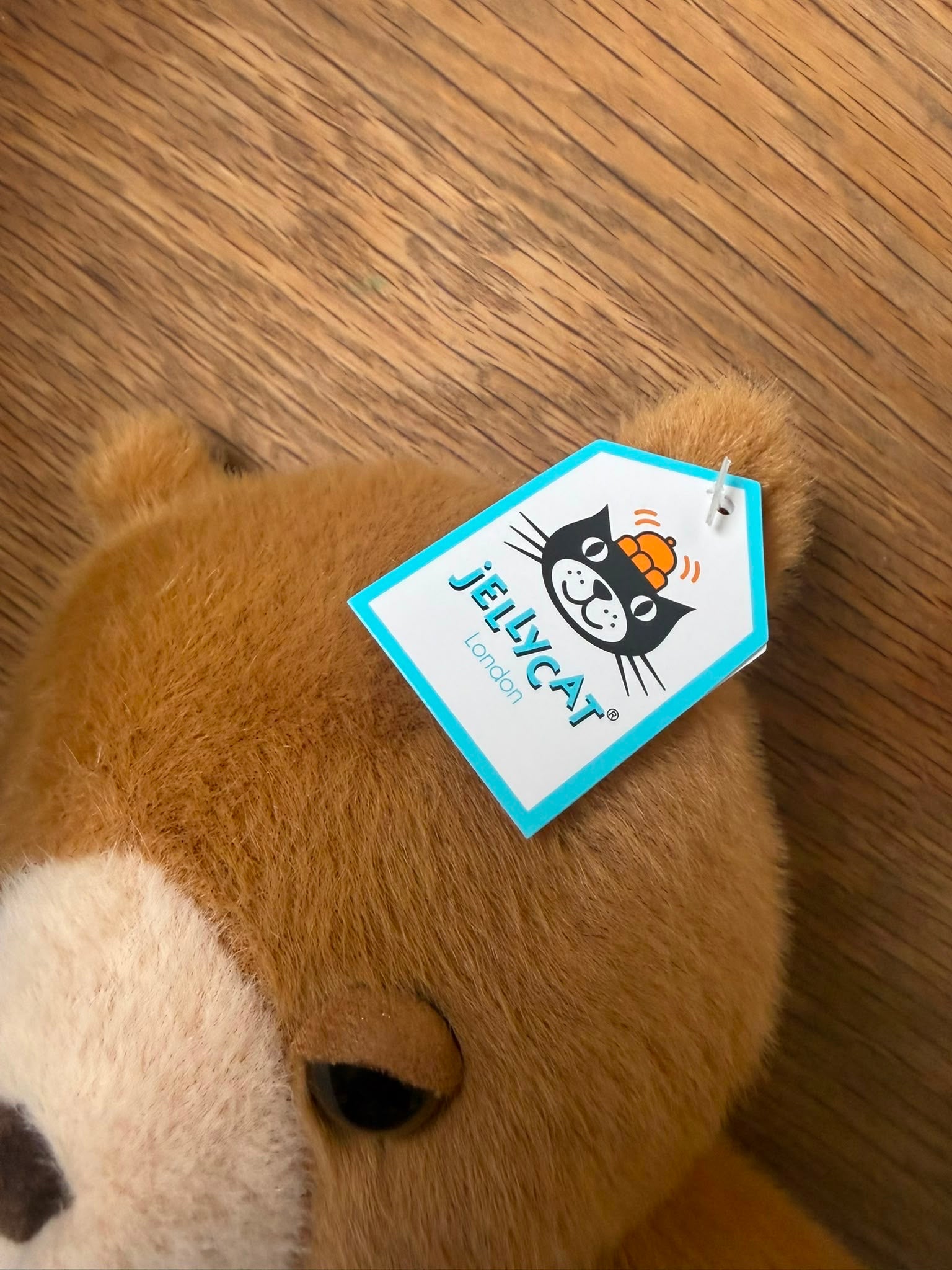 Jellycat Beebi Bear