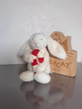 Bunny Holding A Candy Cane