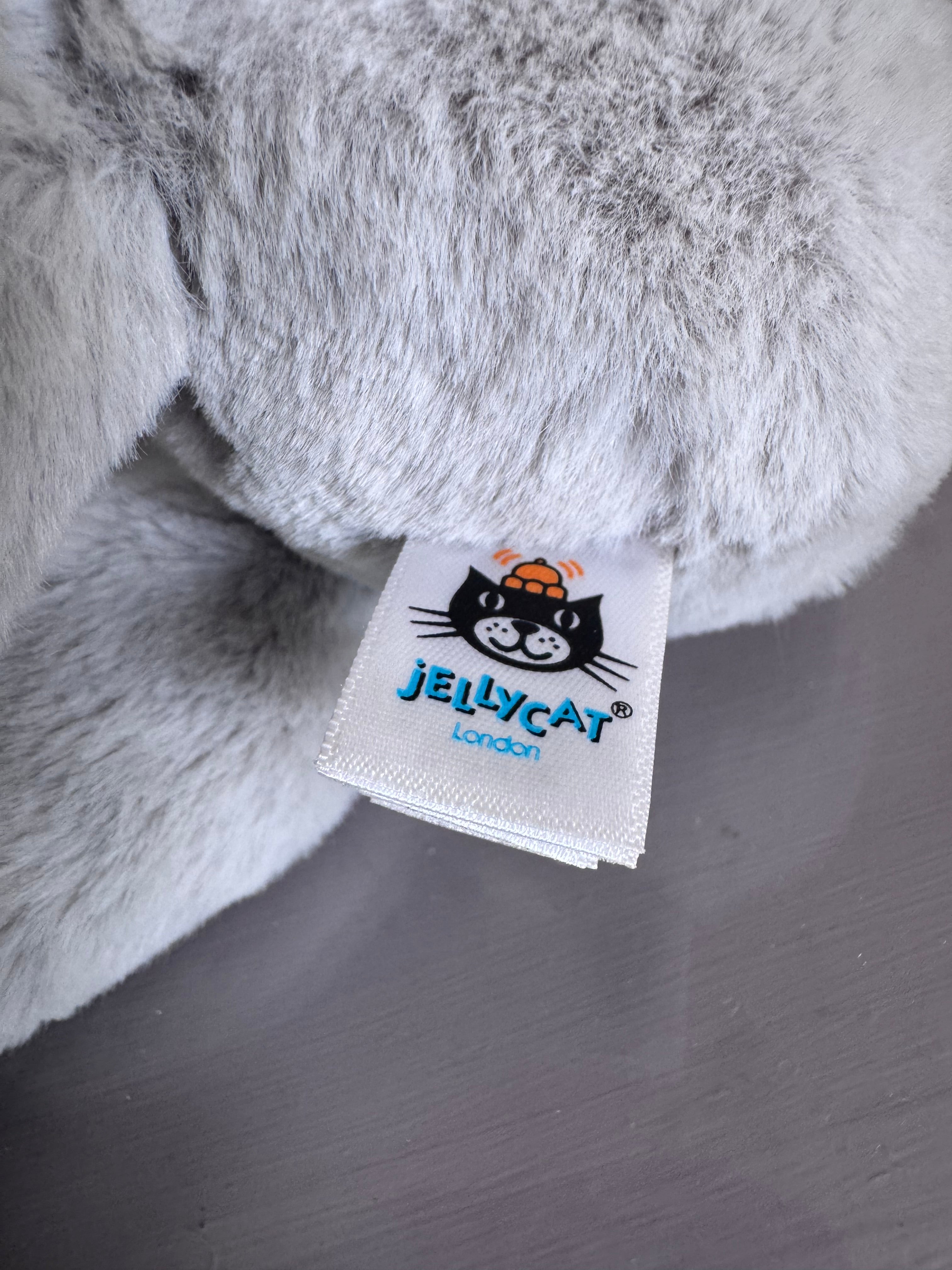 Small Benji Koala