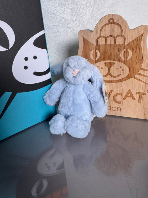 Bashful Blue Bunny Baby