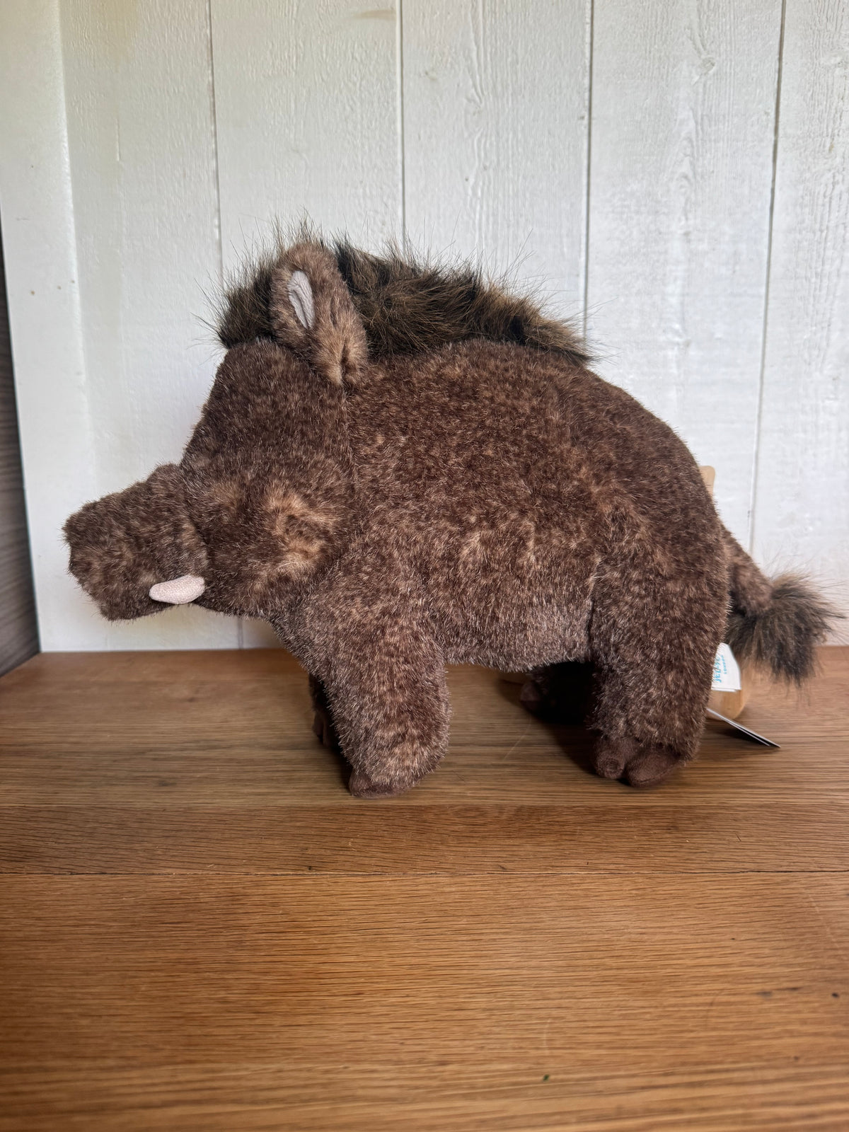 Jellycat Zsazsa Boar | Jellyfest Berlin Exclusive