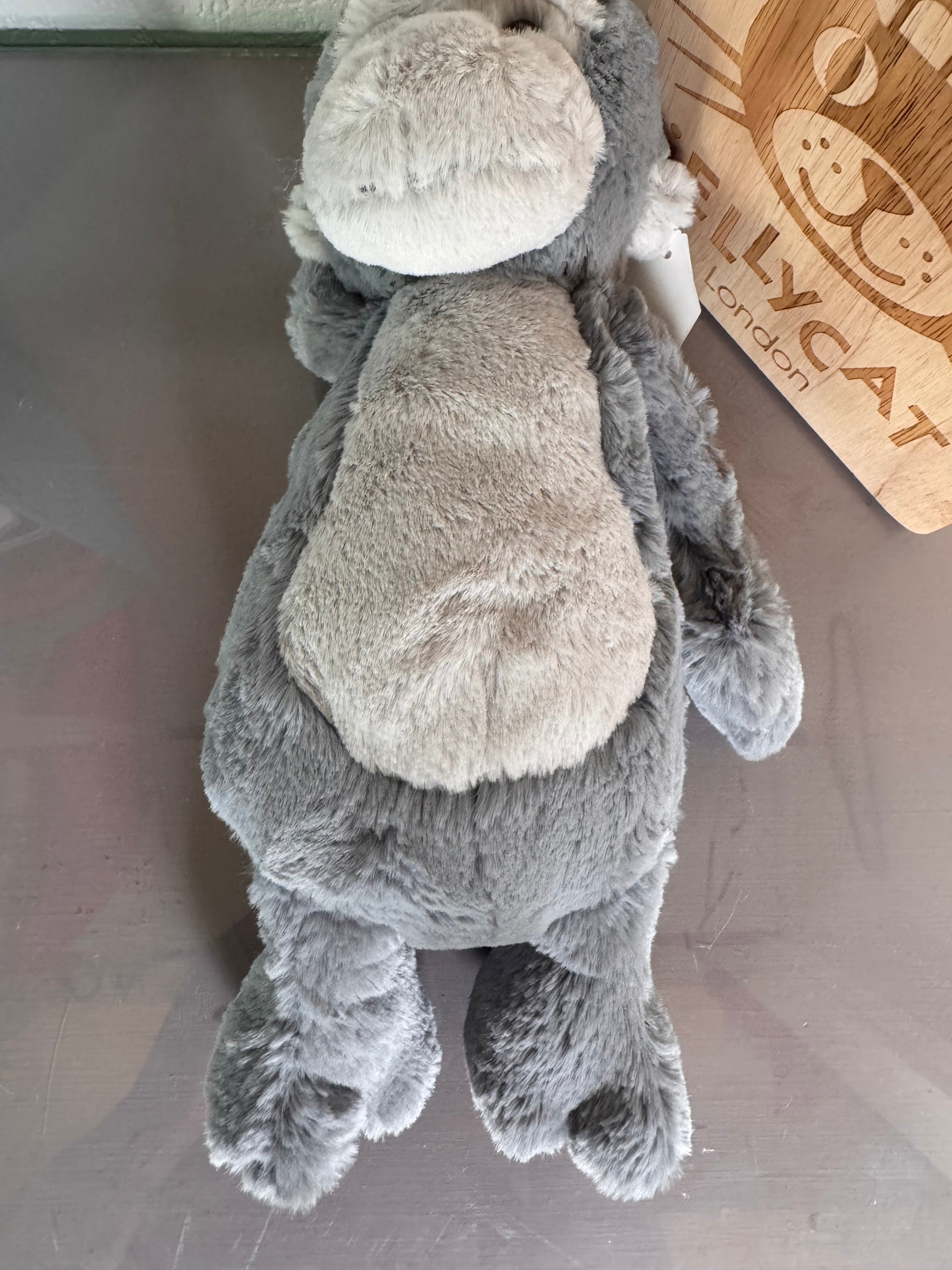 Medium bashful Gorilla