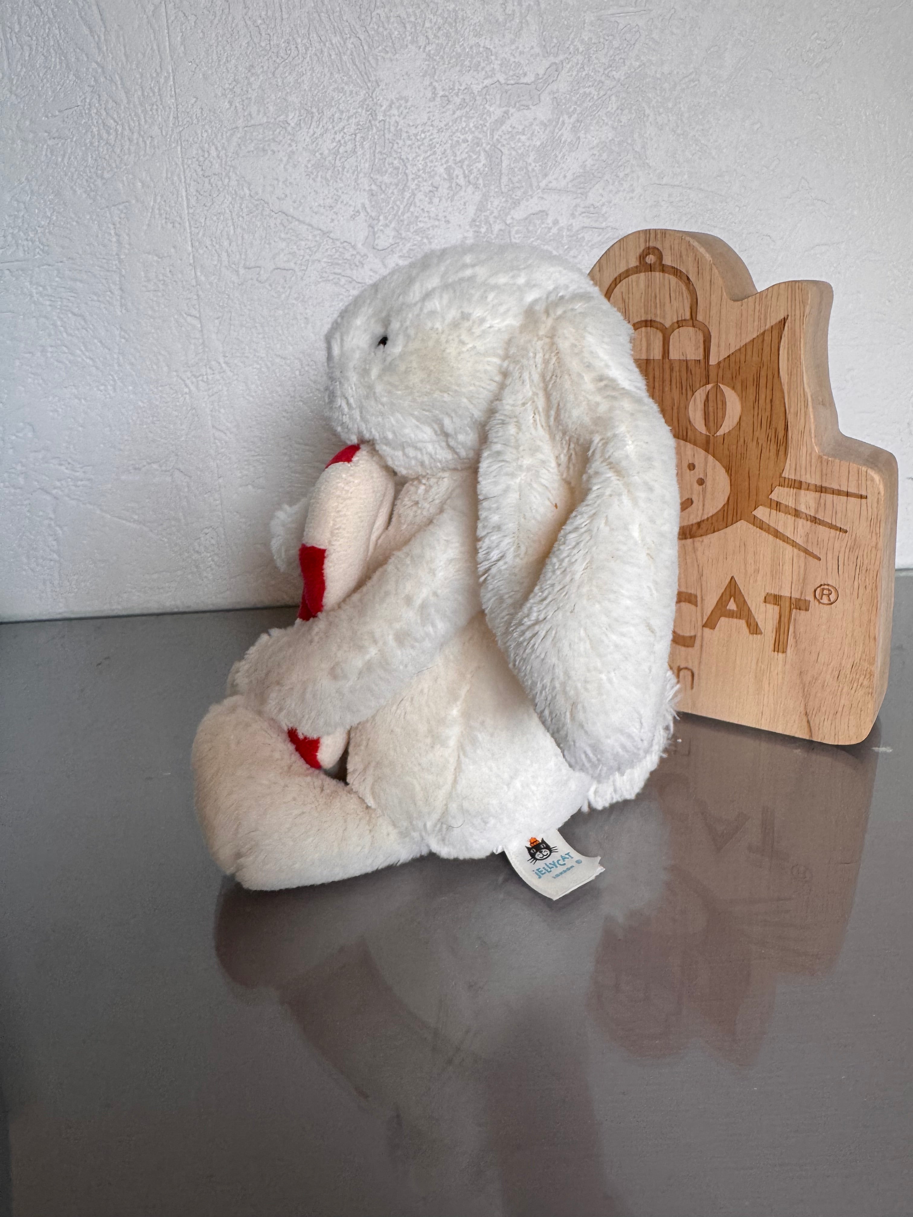 Bunny Holding A Candy Cane