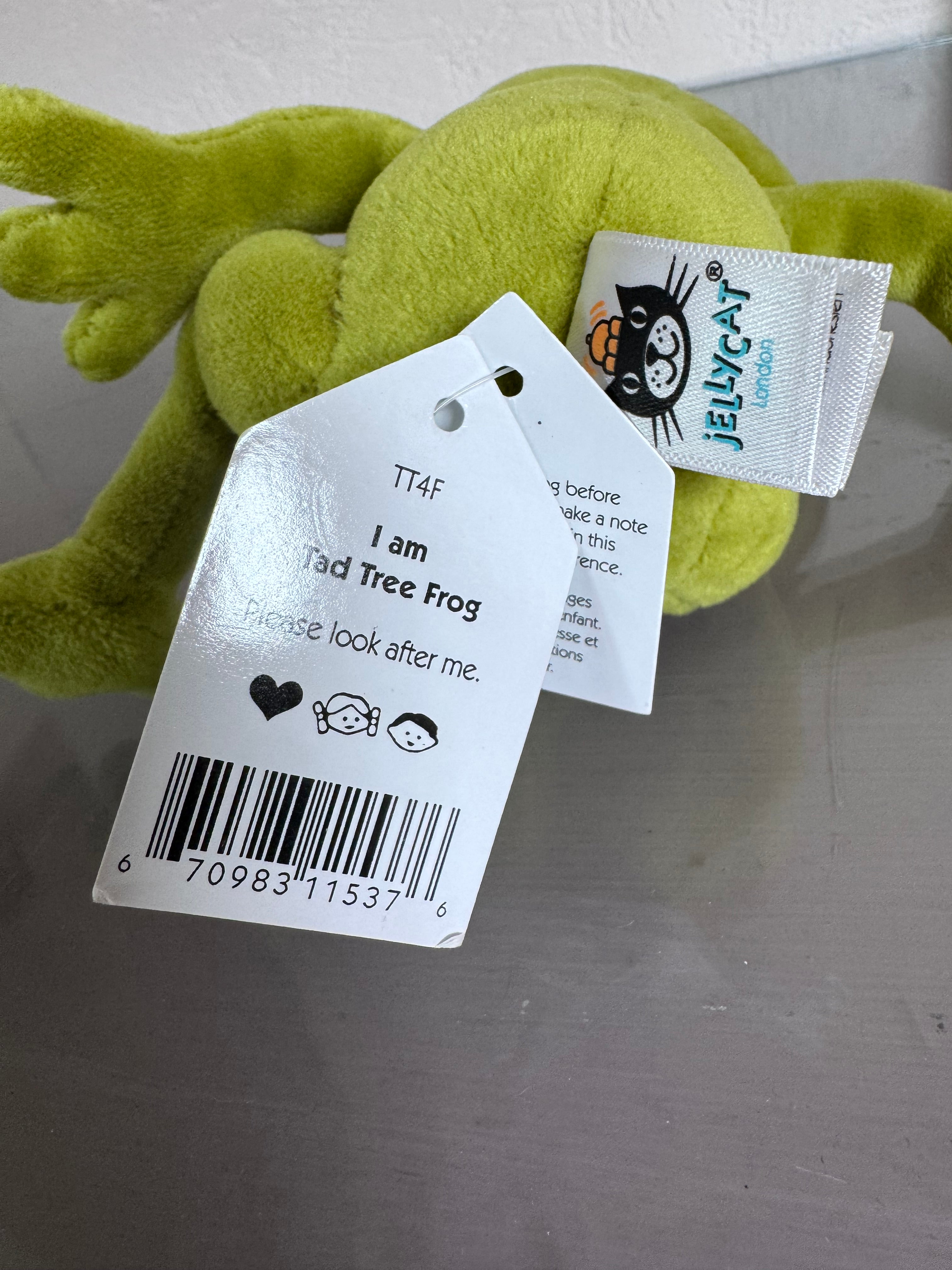 Tad Tree Frog