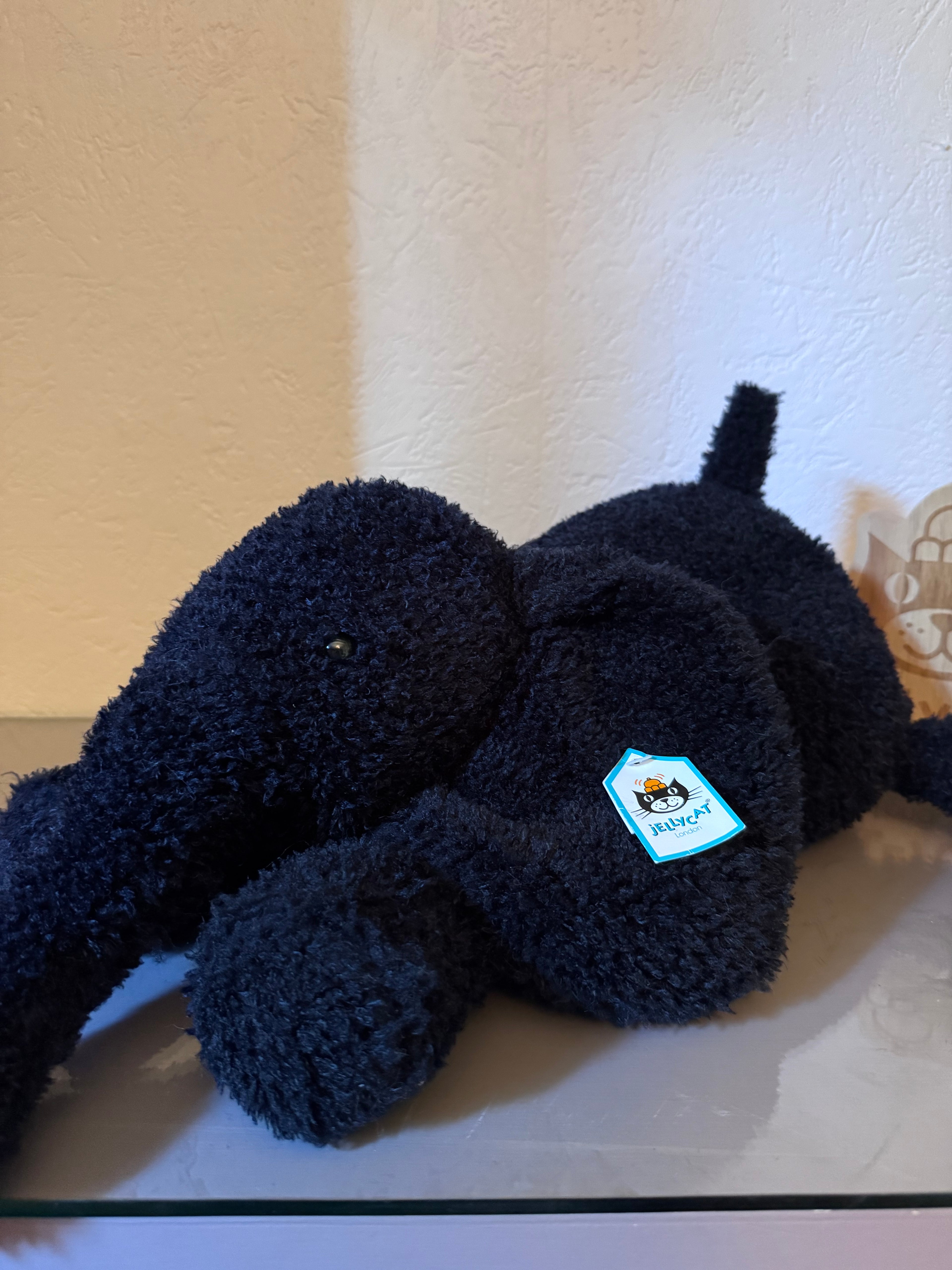 Splootie Elephant
