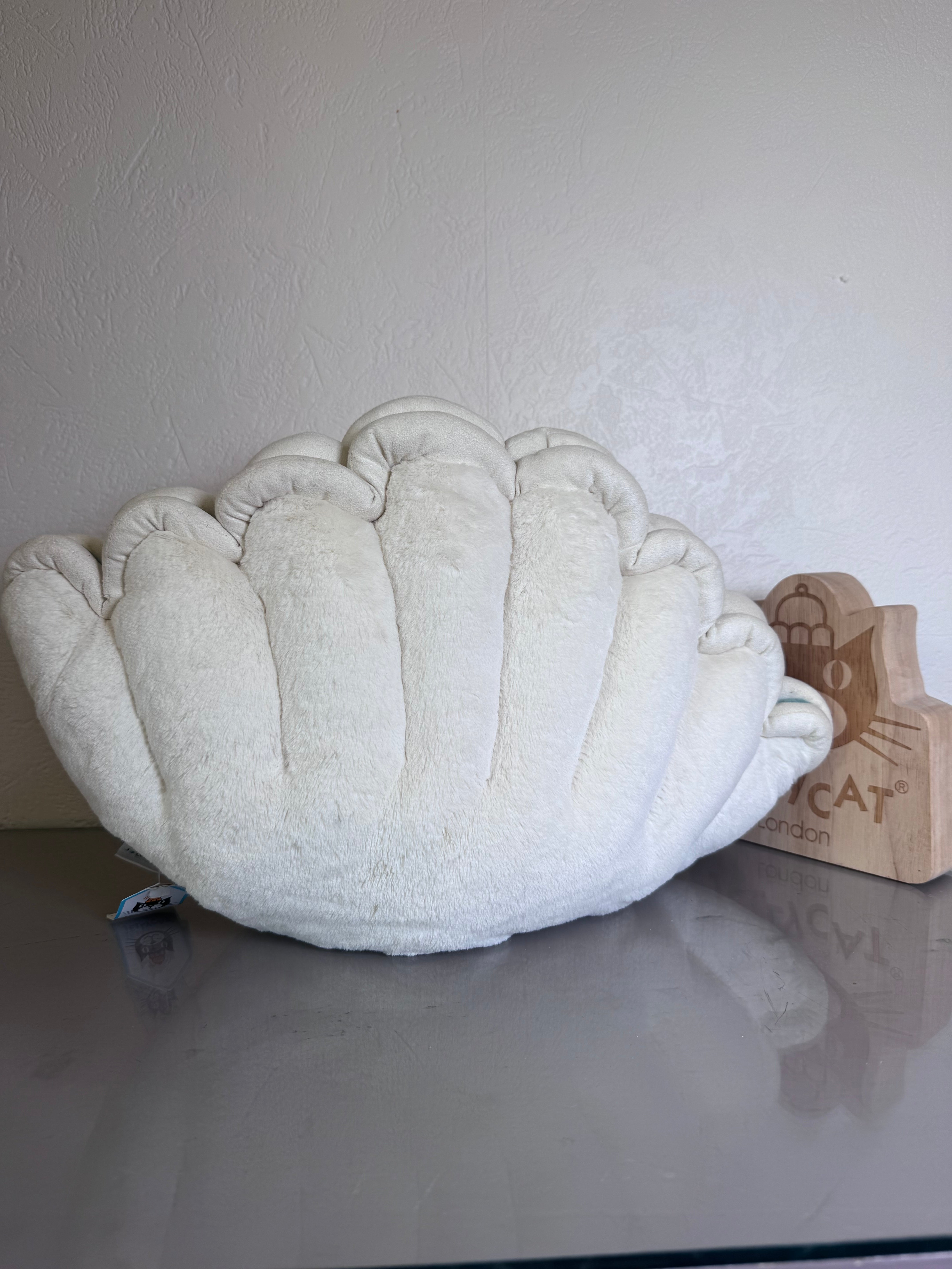 Jellycat Chloe Clam | Large Size – The Jelly Corner