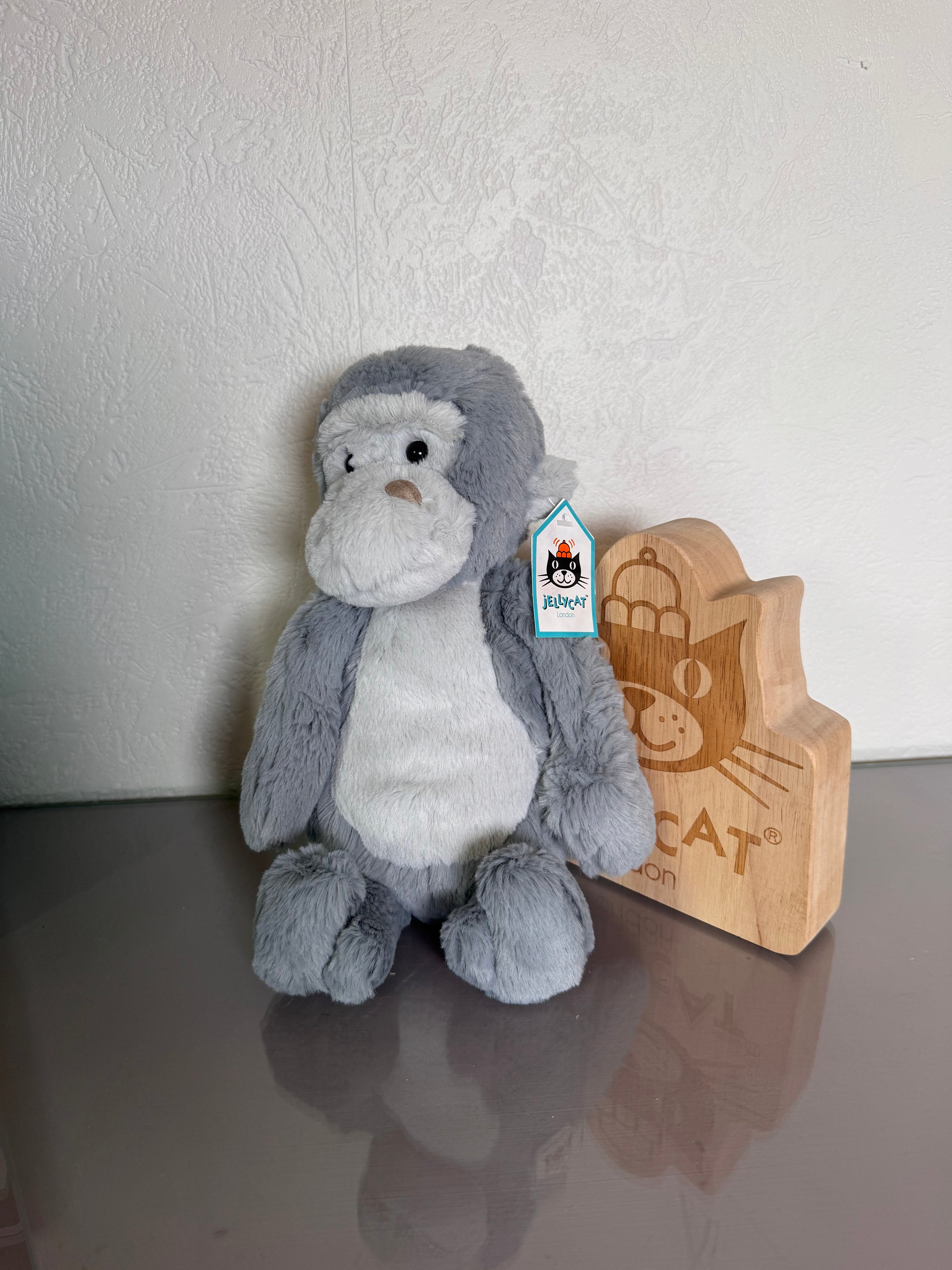 Medium bashful Gorilla