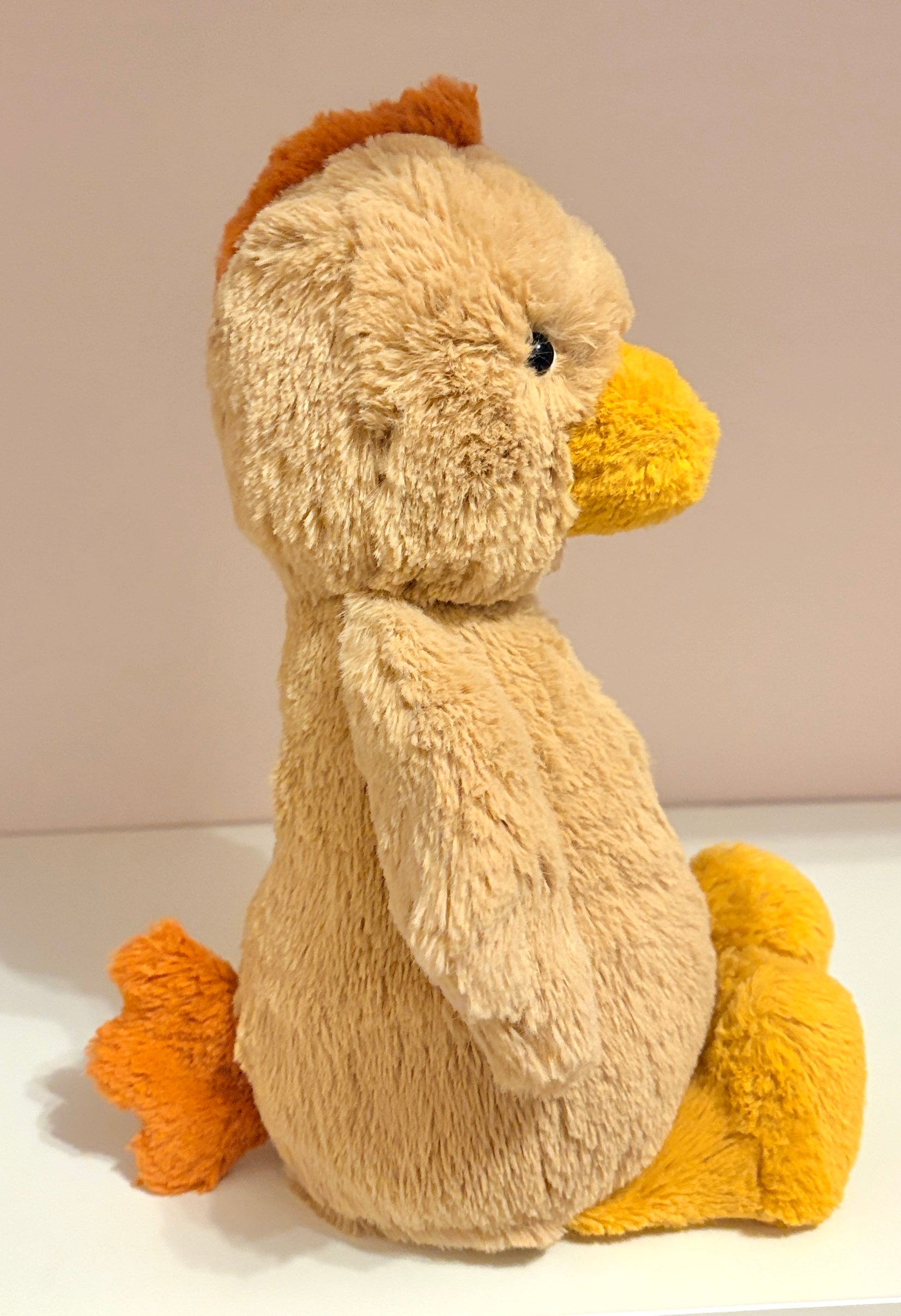 Bashful Rooster (Medium)