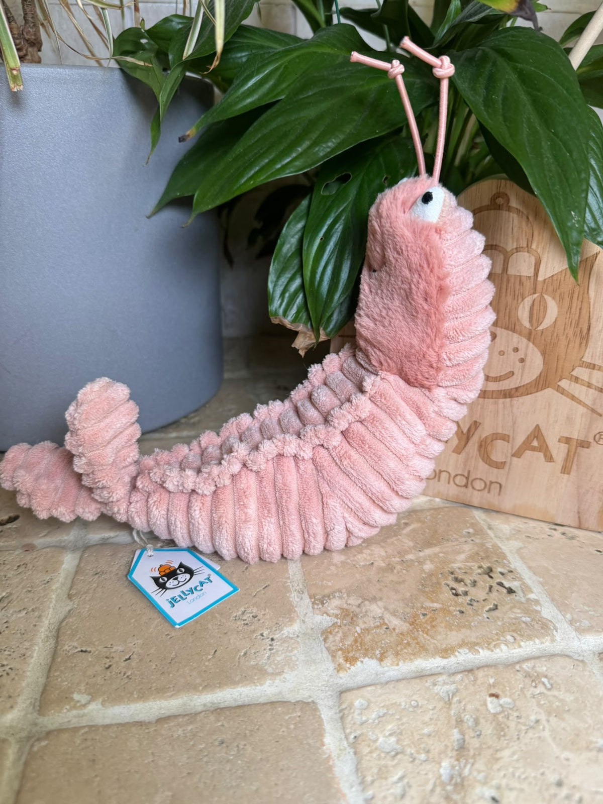 Jellycat Sheldon Shrimp
