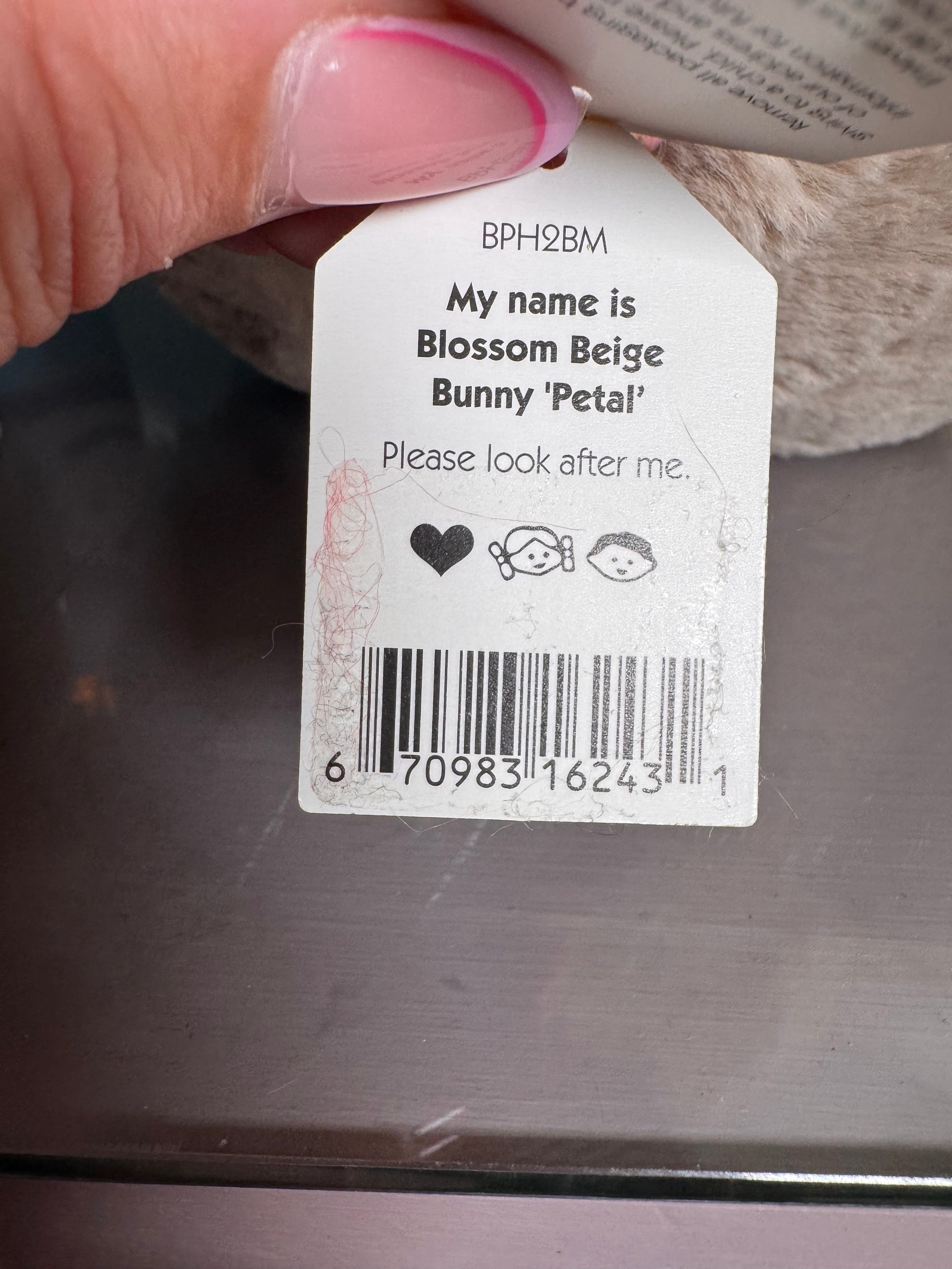 Big Blossom Beige ’Petal’
