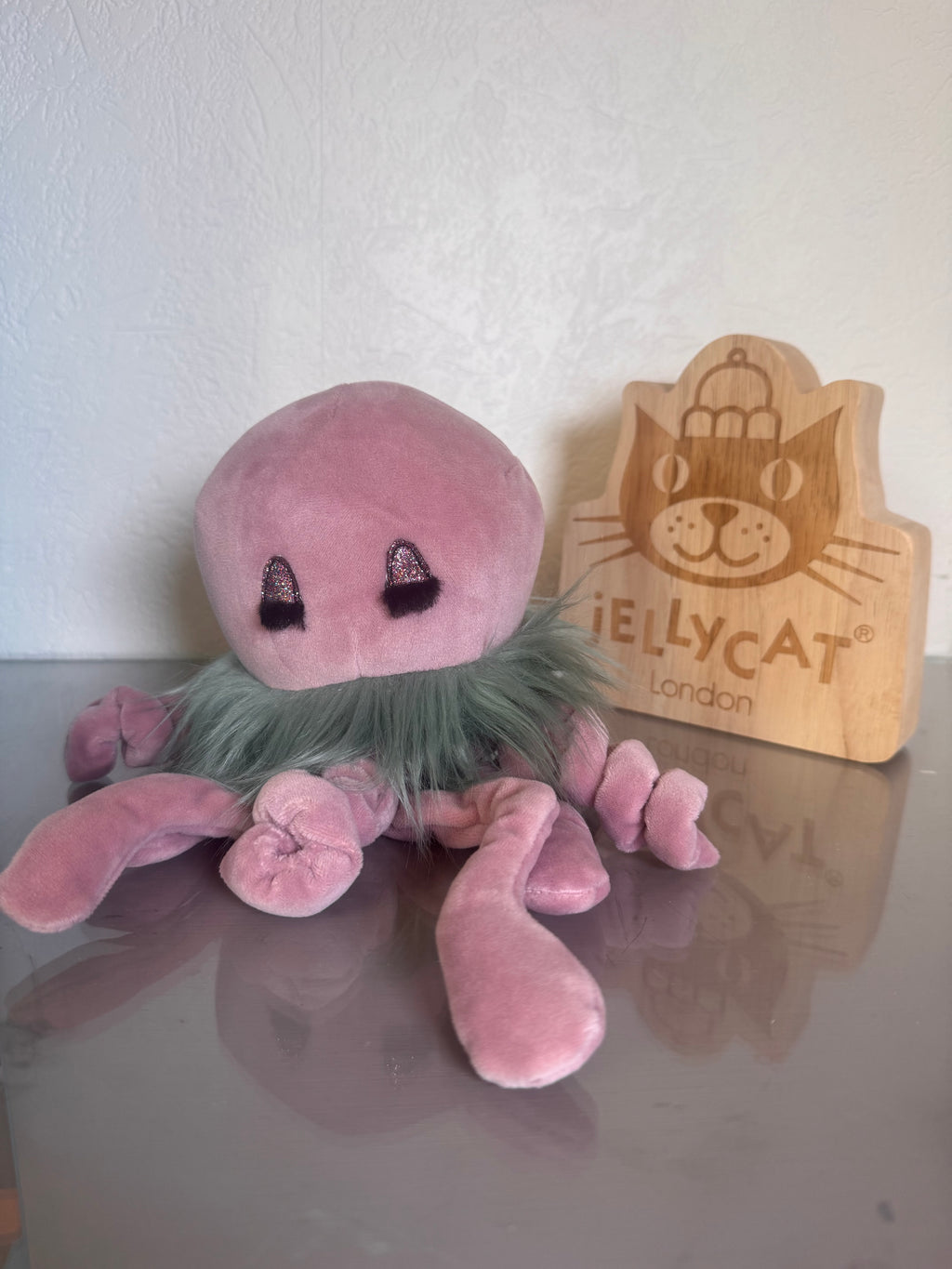 Curiosity Jellyfish