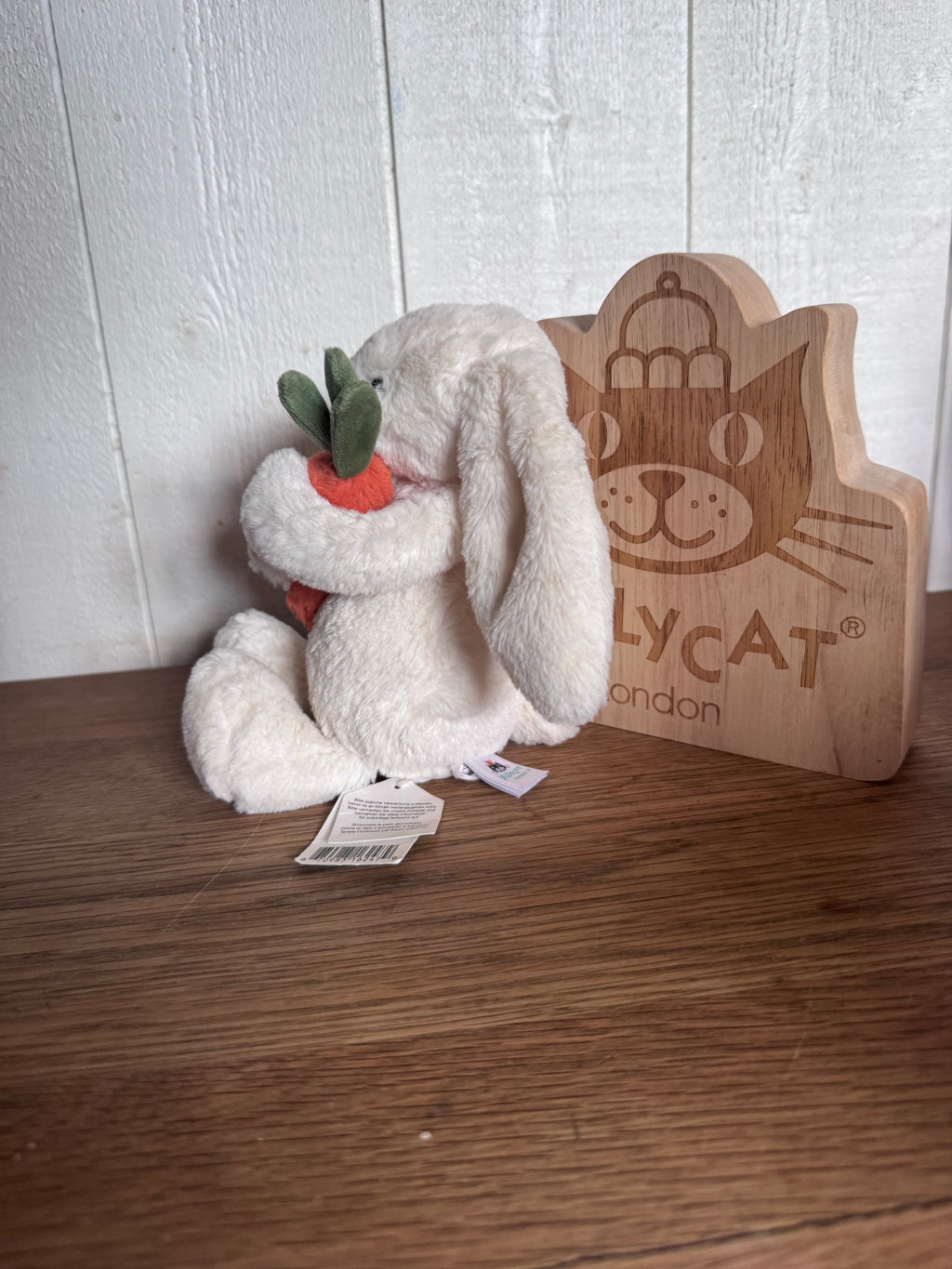 Bunny Holding A Carrot