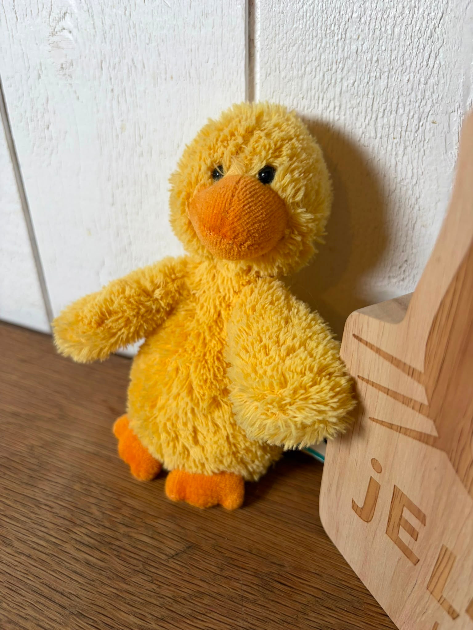 Jellycat Dicky Bird - Prototype