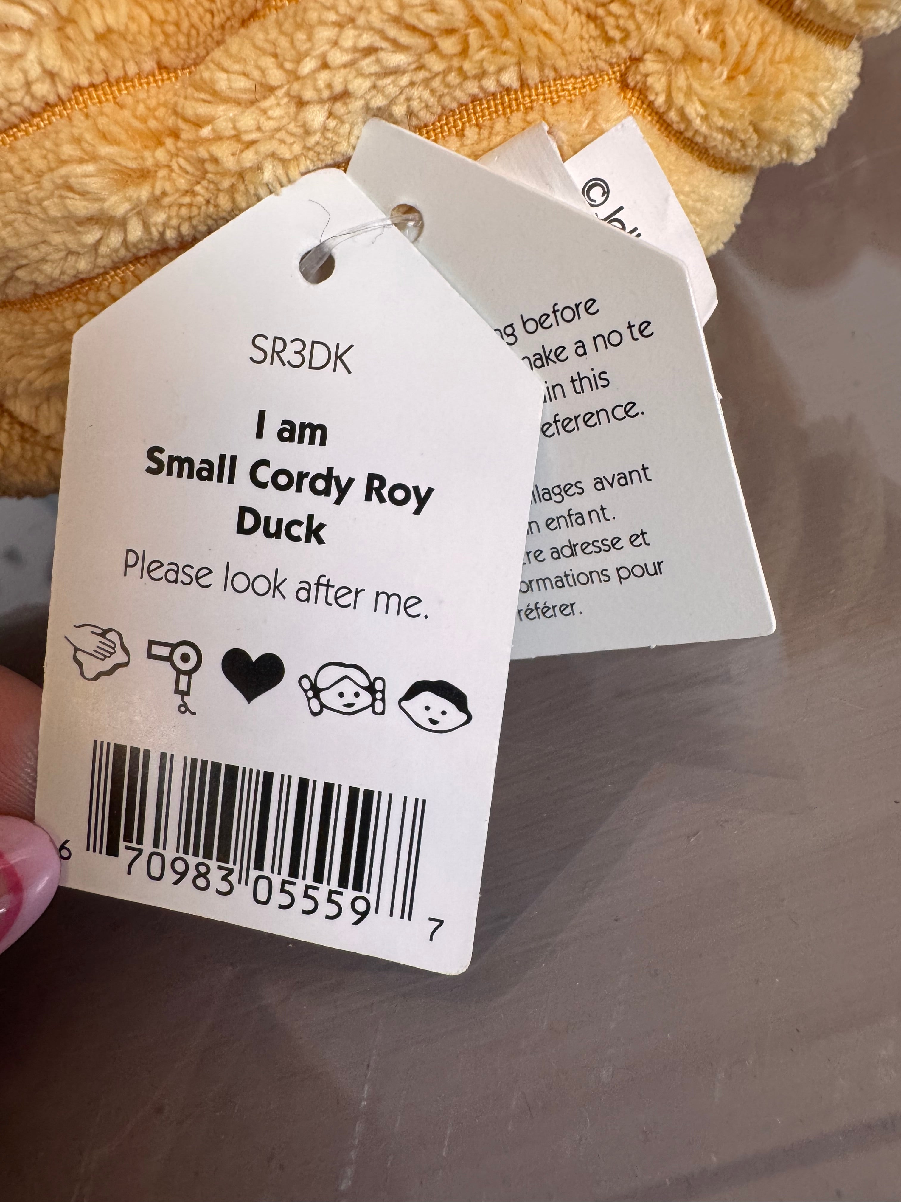 Small Cordy Roy Duck