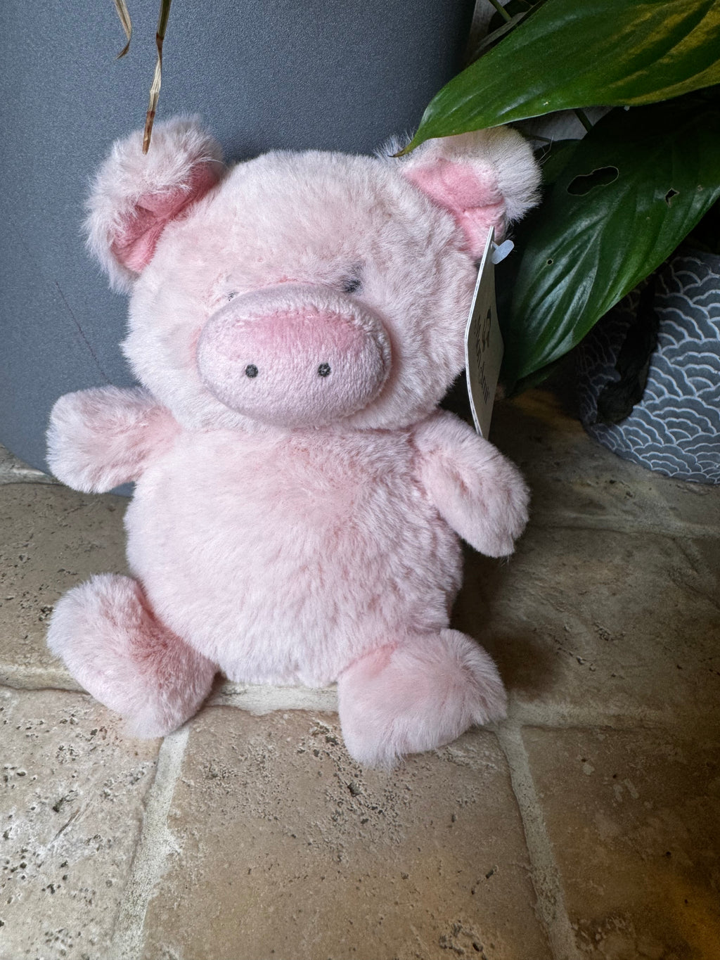 Mon Ami | Penelope Petit Pig