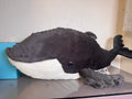 Humphrey Humpback Whale