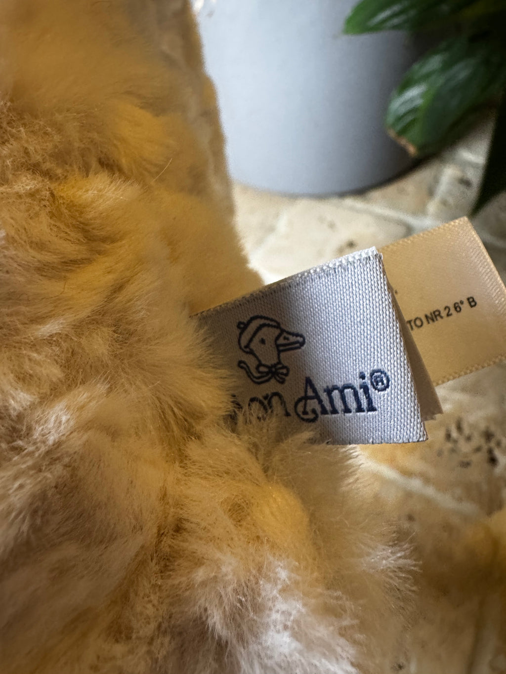 Mon Ami | Faith Bunny