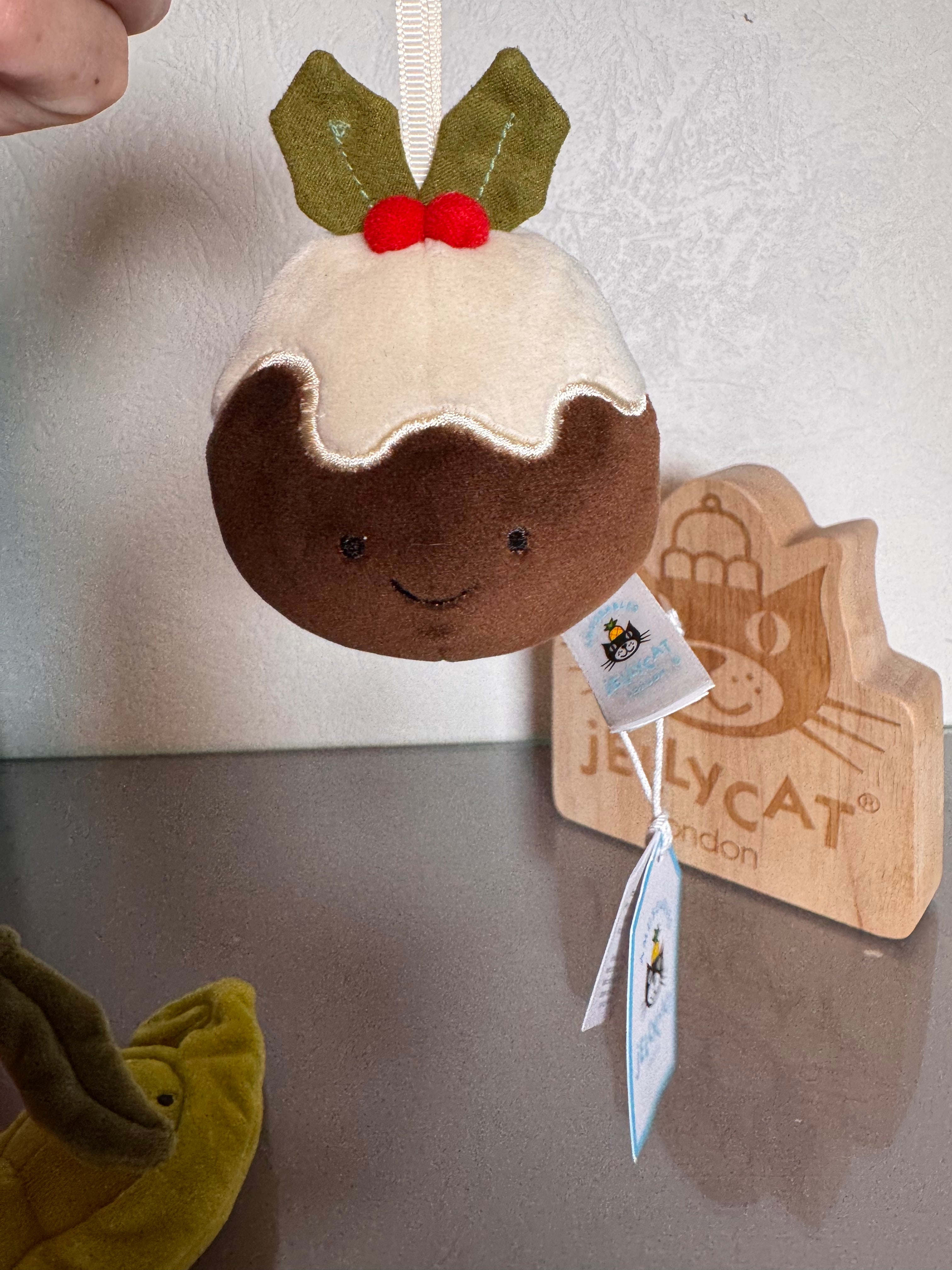 Festive Folly Christmas Pudding