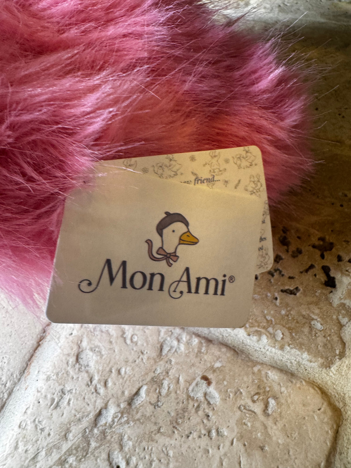 Mon Ami | Zinnia Flamingo