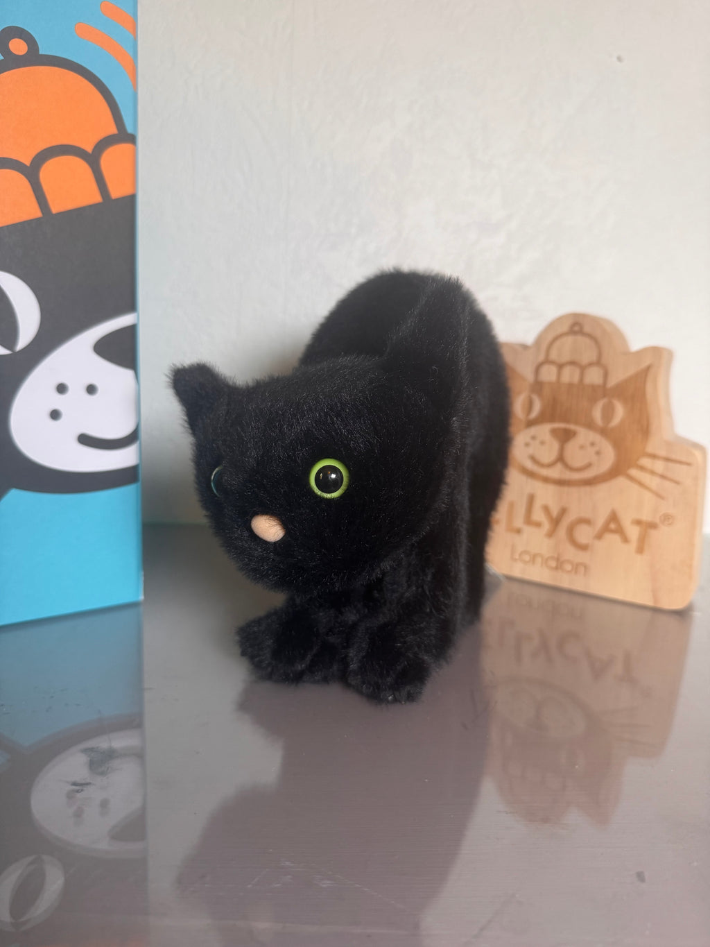Spookipaws Cat