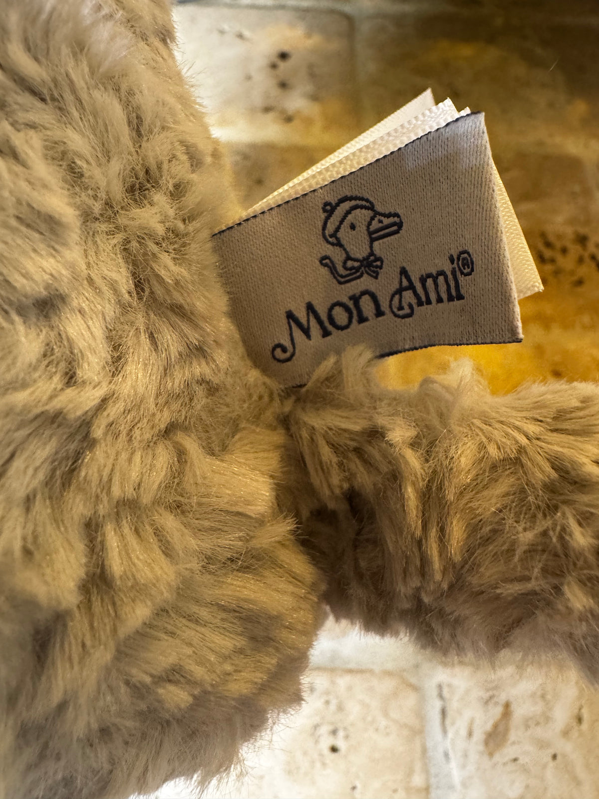 Mon Ami | Elephant