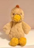 Bashful Rooster (Medium)
