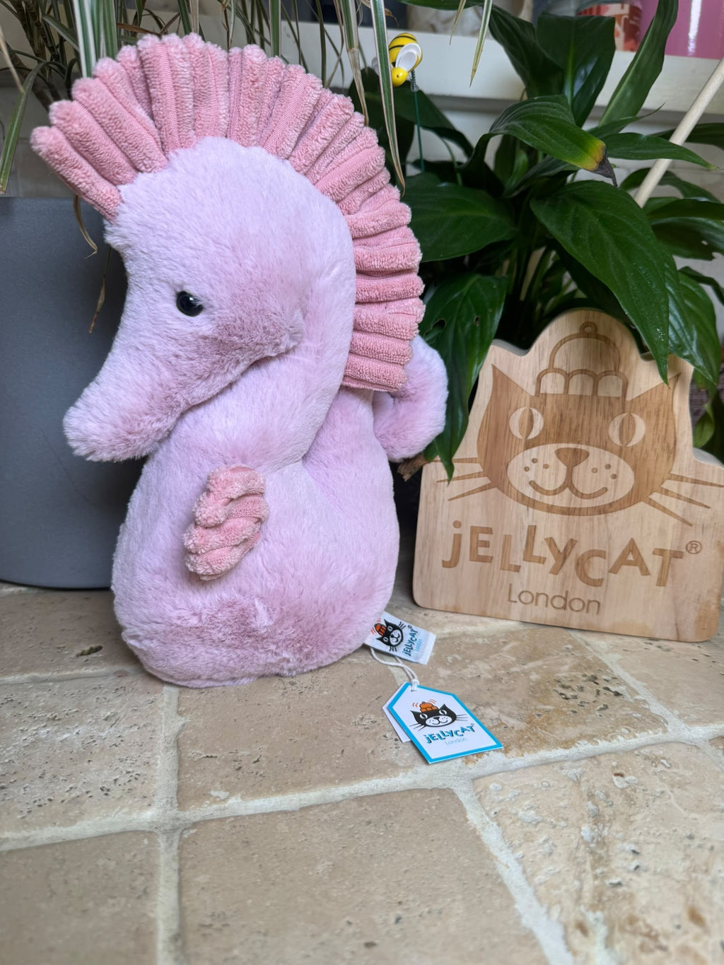 Jellycat Sienna Seahorse