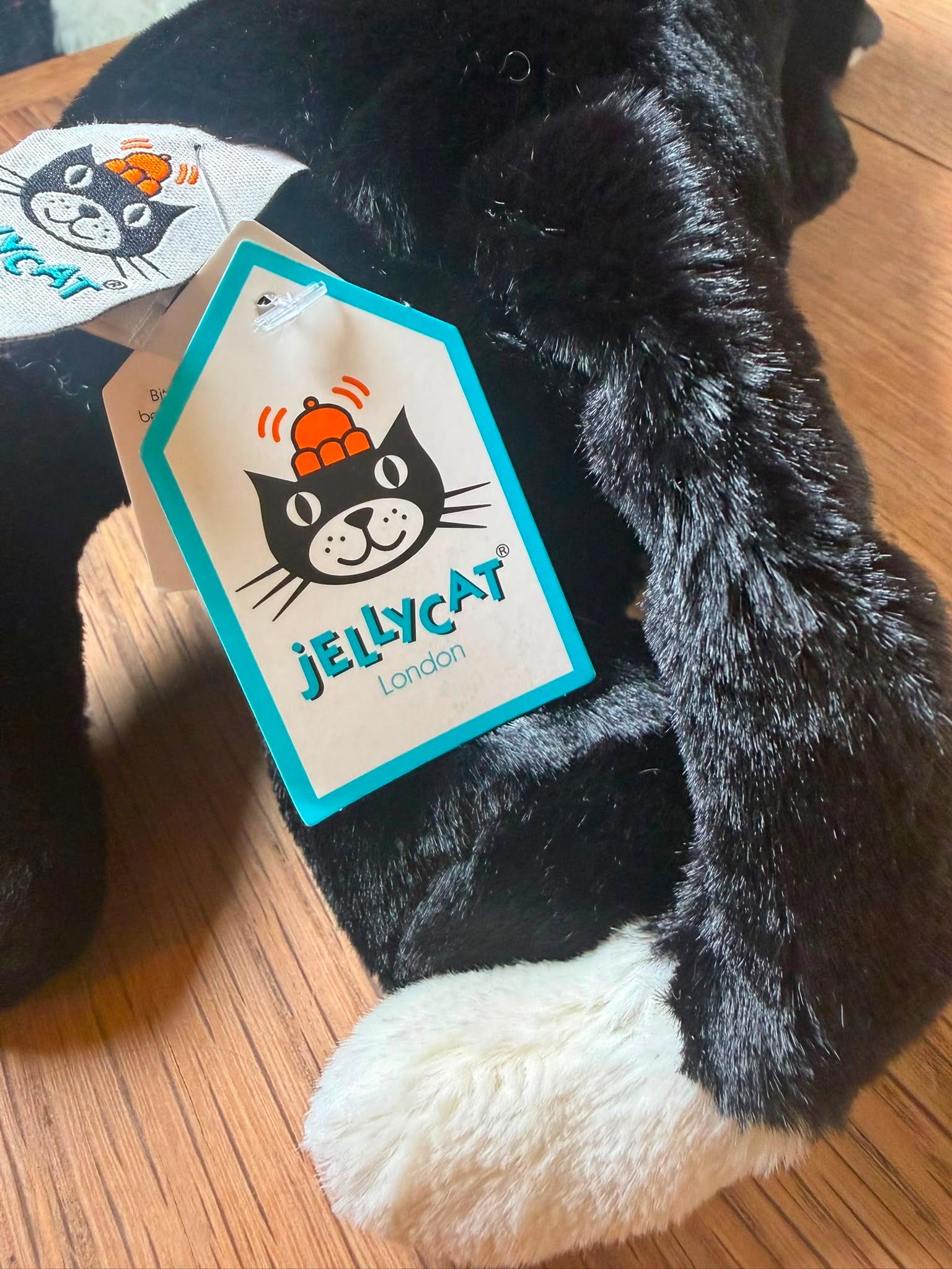 Jellycat Bashful Black Kitten- Medium