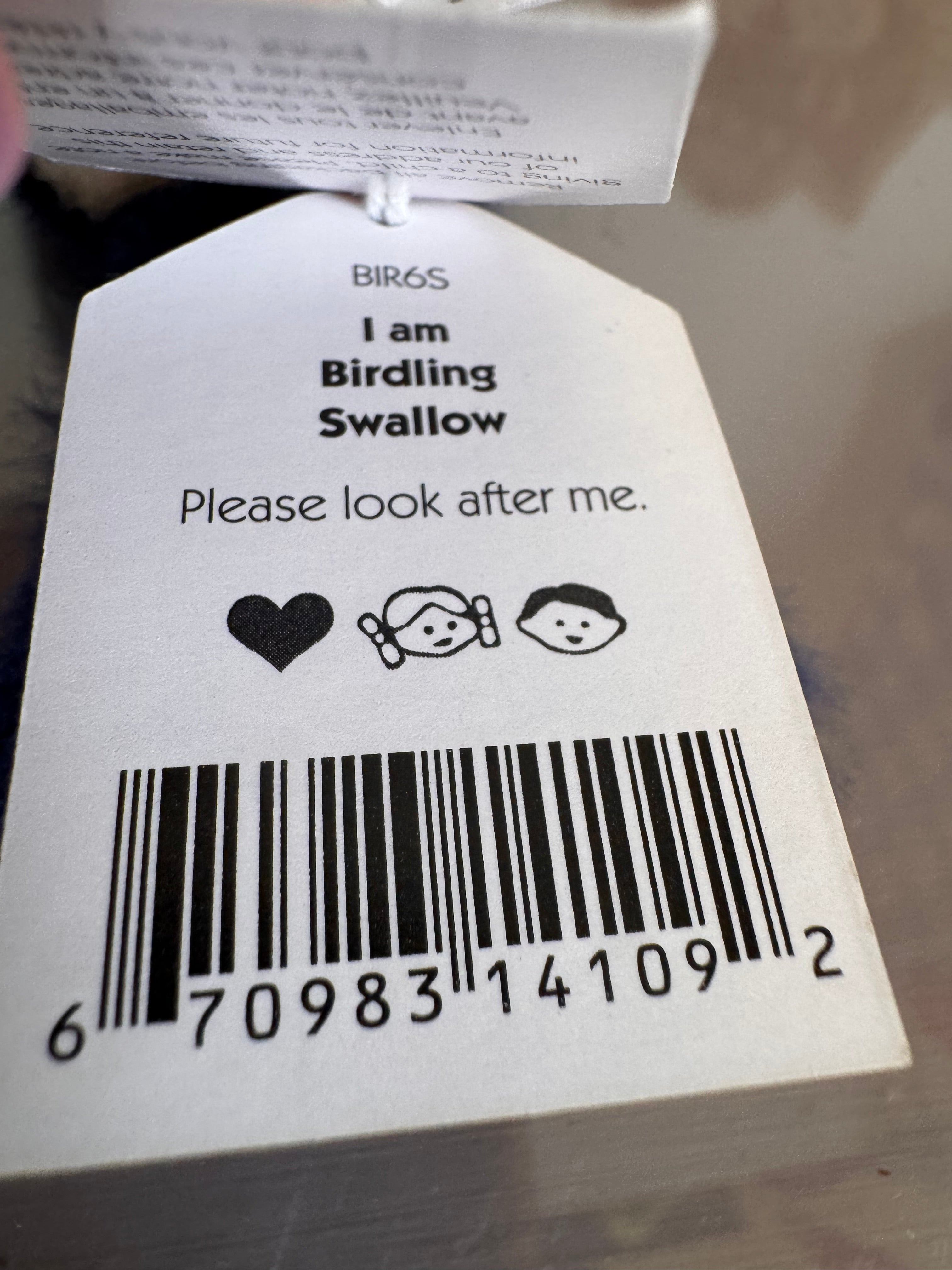 Birdling Swallow