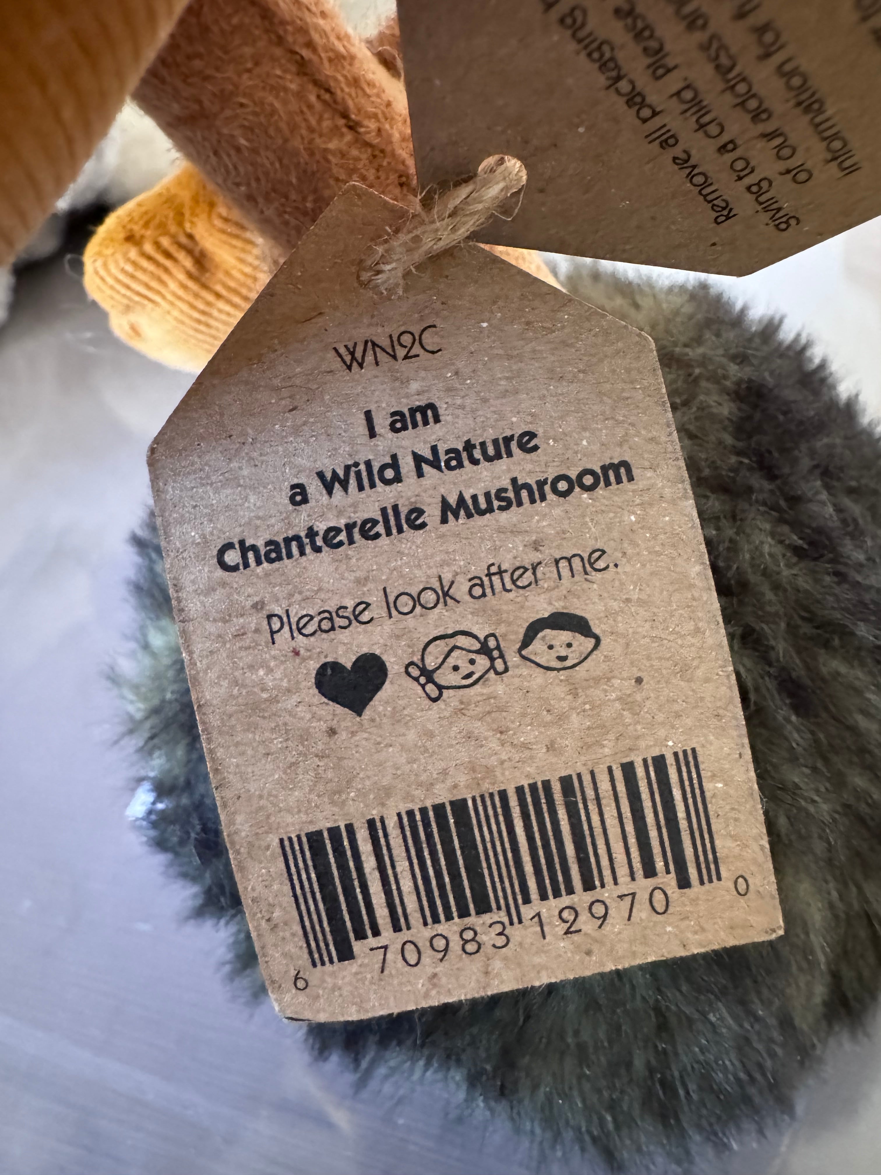 Wild Nature Chanterelle Mushroom