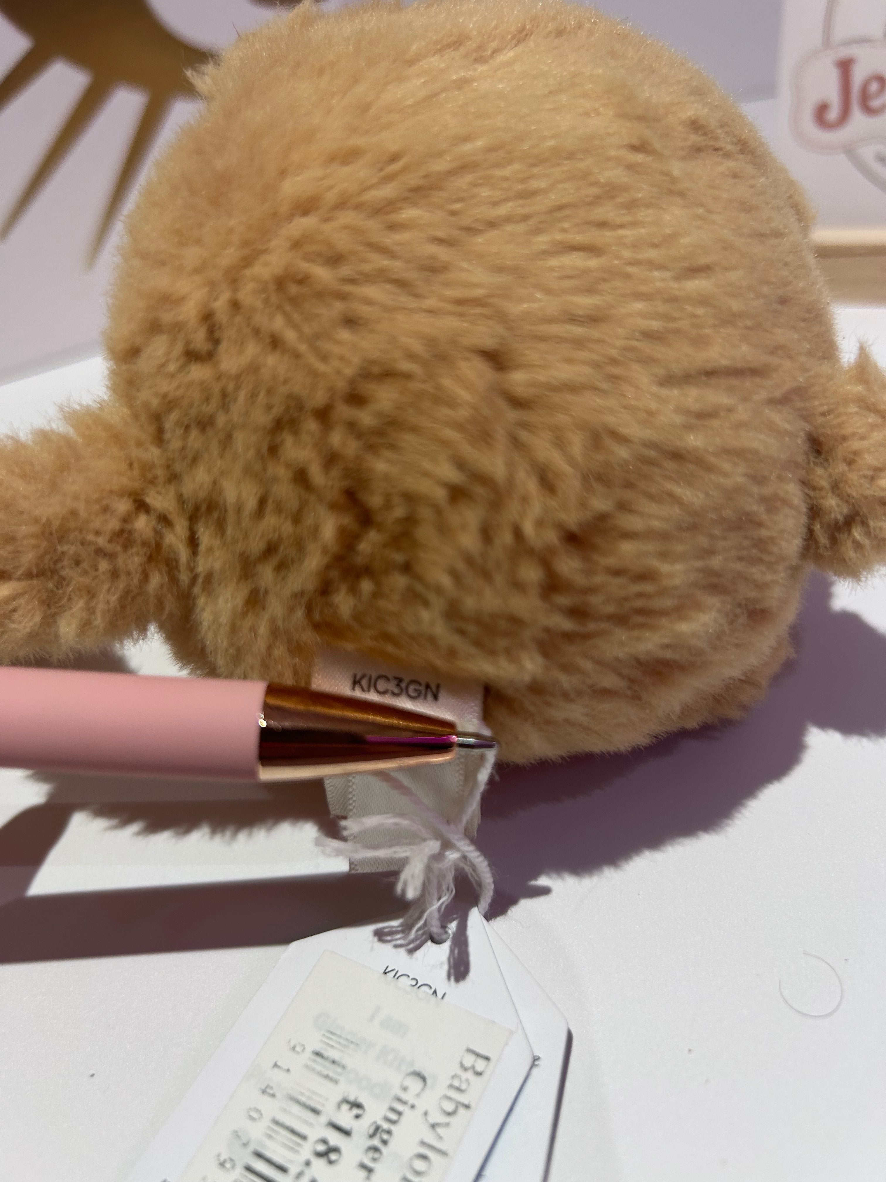 Ginger Kitten Caboodle