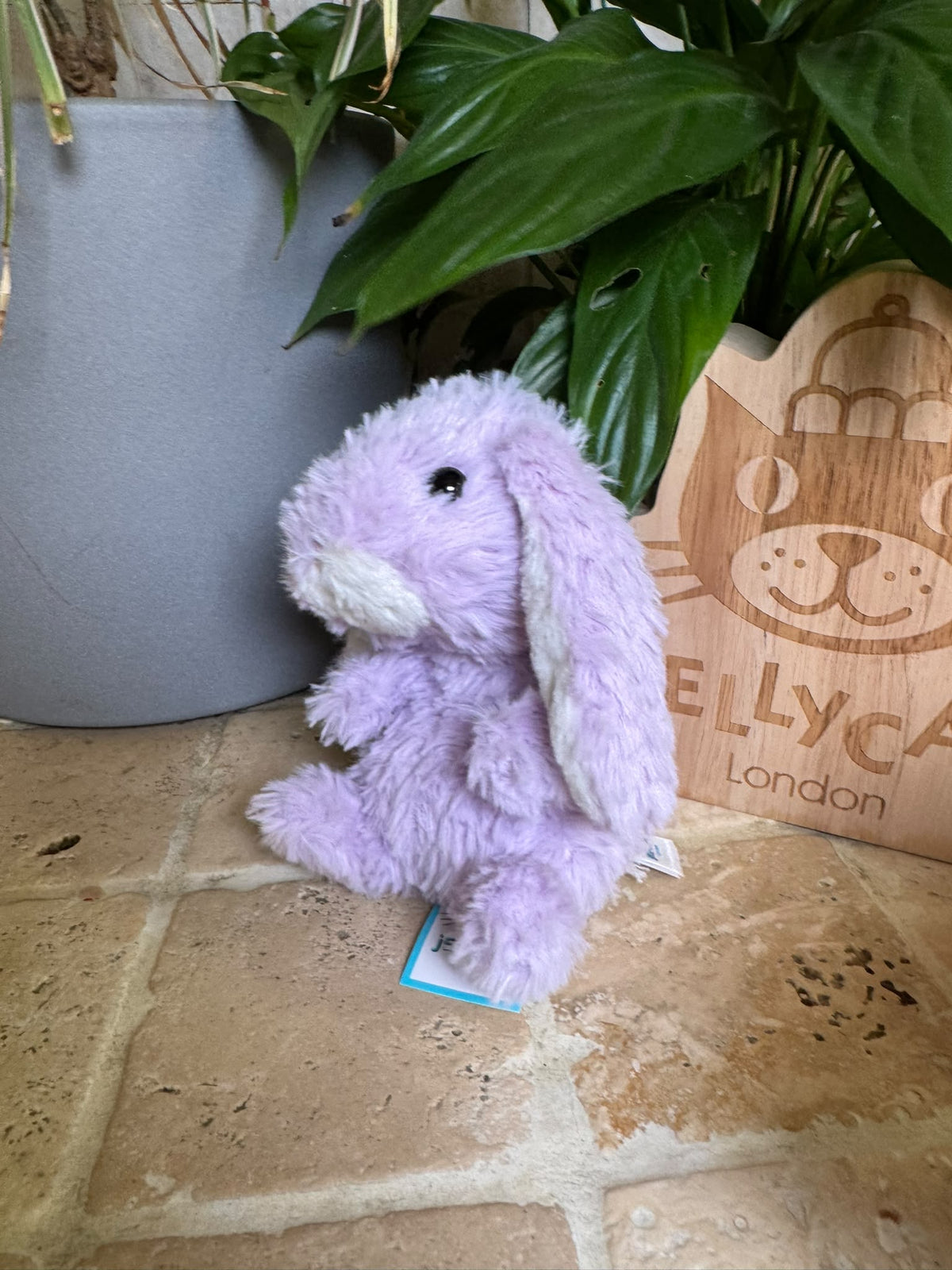 Jellycat Yummy Lavender Bunny