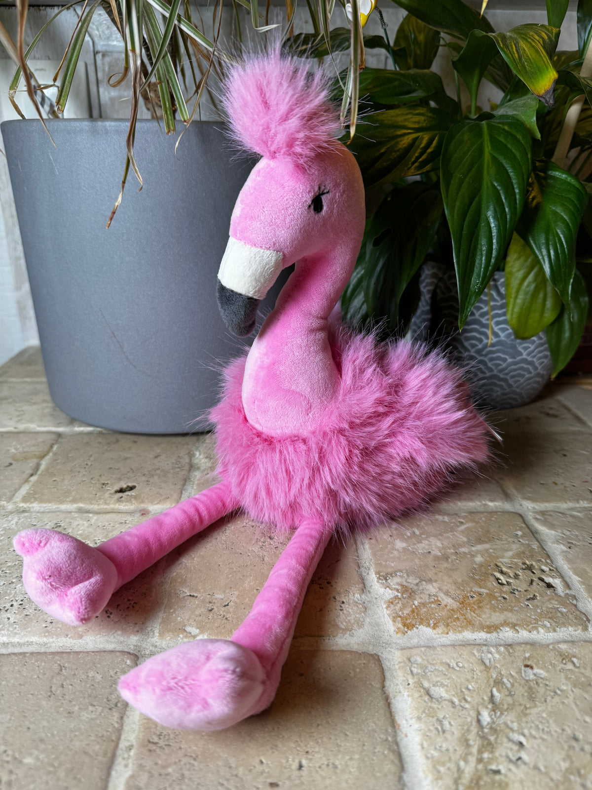 Mon Ami | Zinnia Flamingo