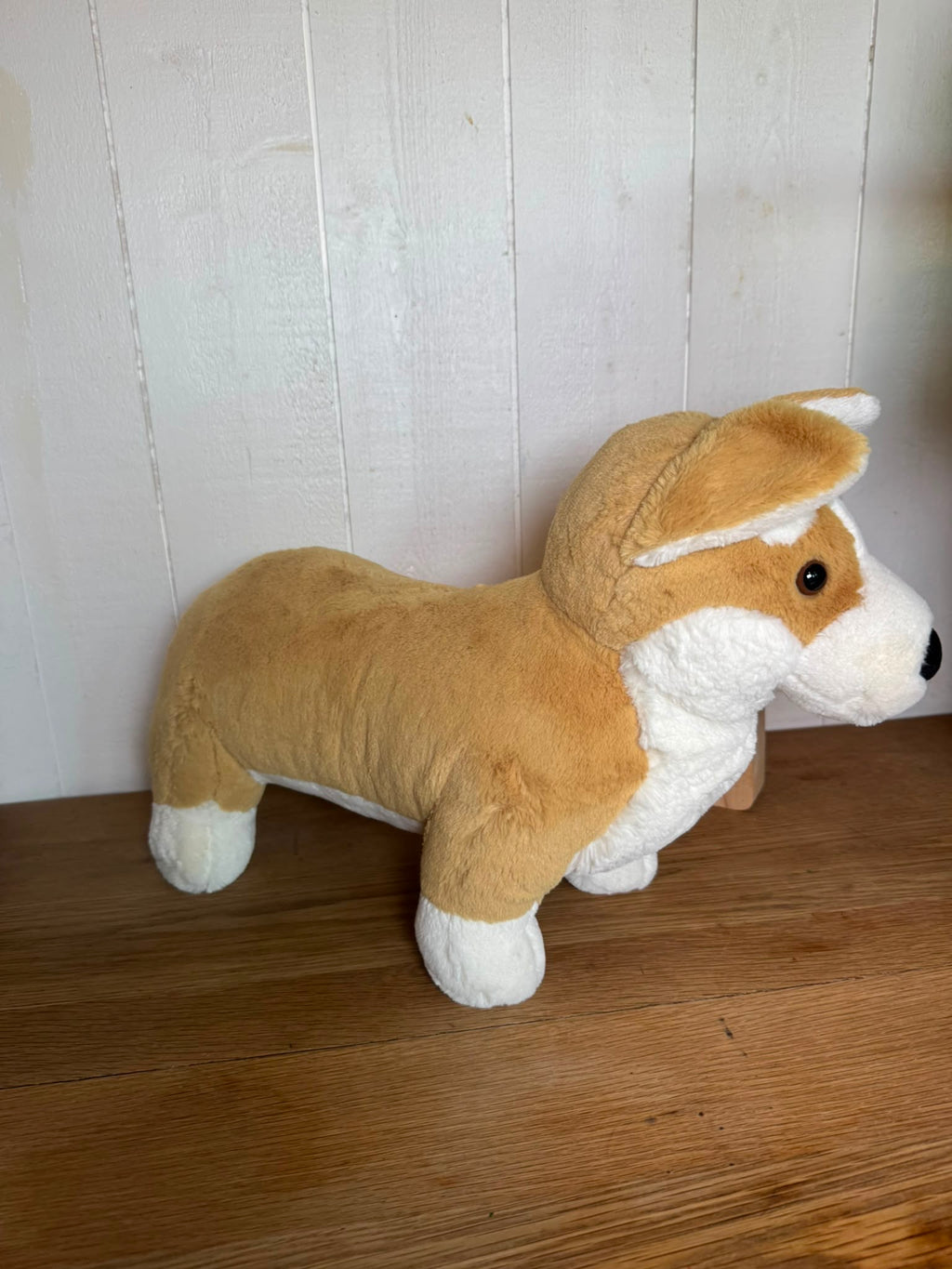 Jellycat Betty Corgi - Big