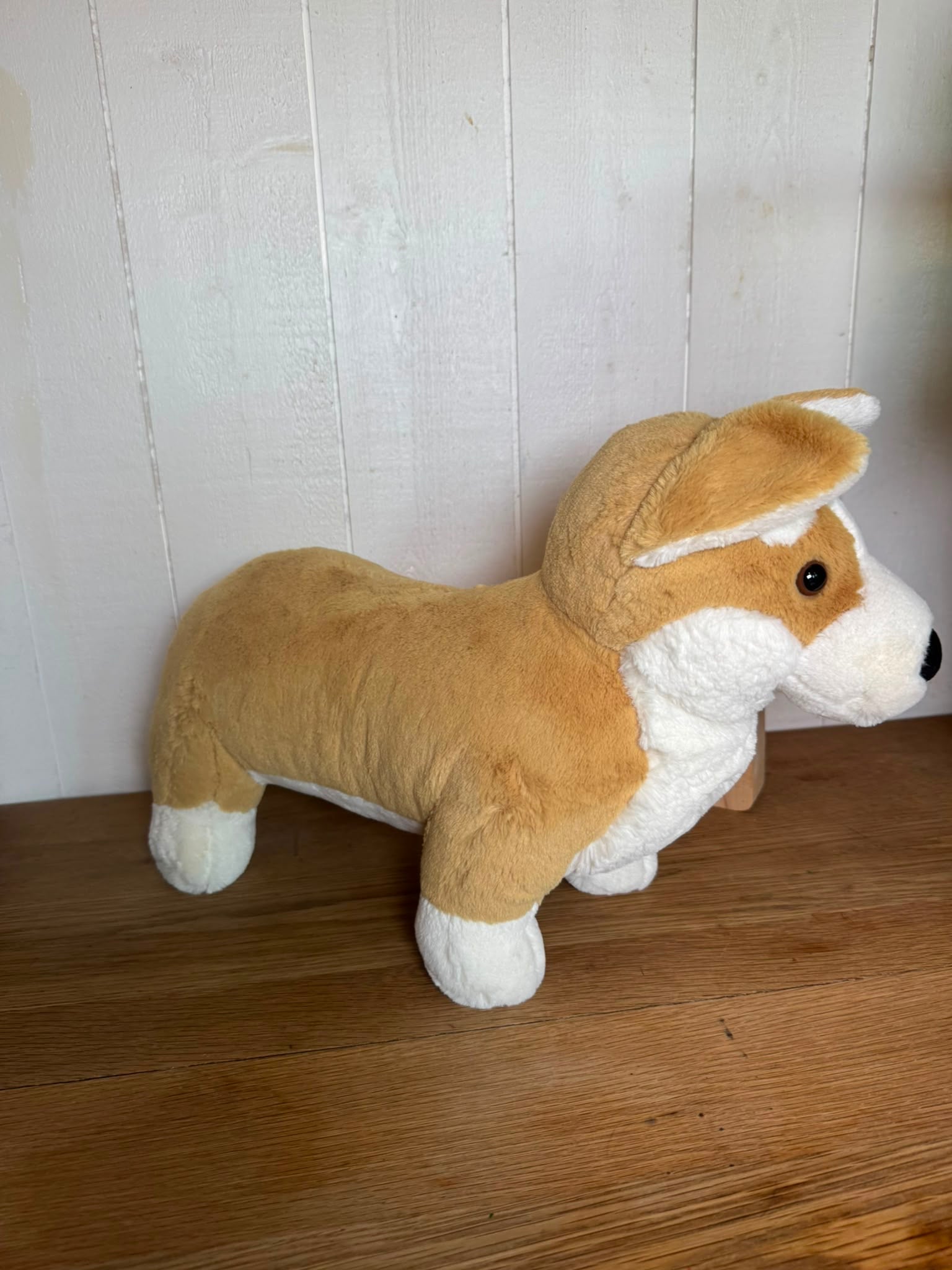 Jellycat Betty Corgi - Big
