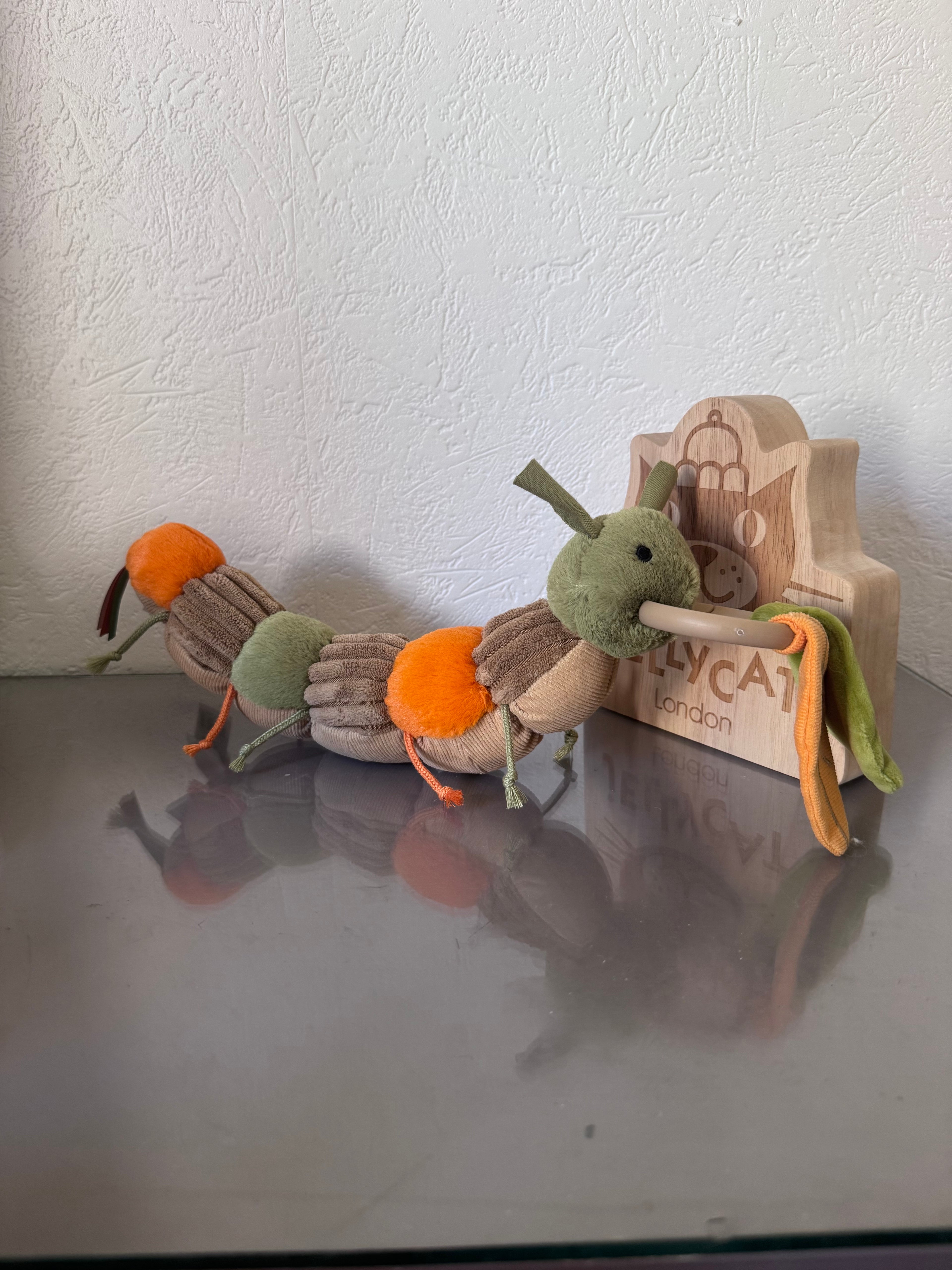 Christopher Caterpillar Activity Toy
